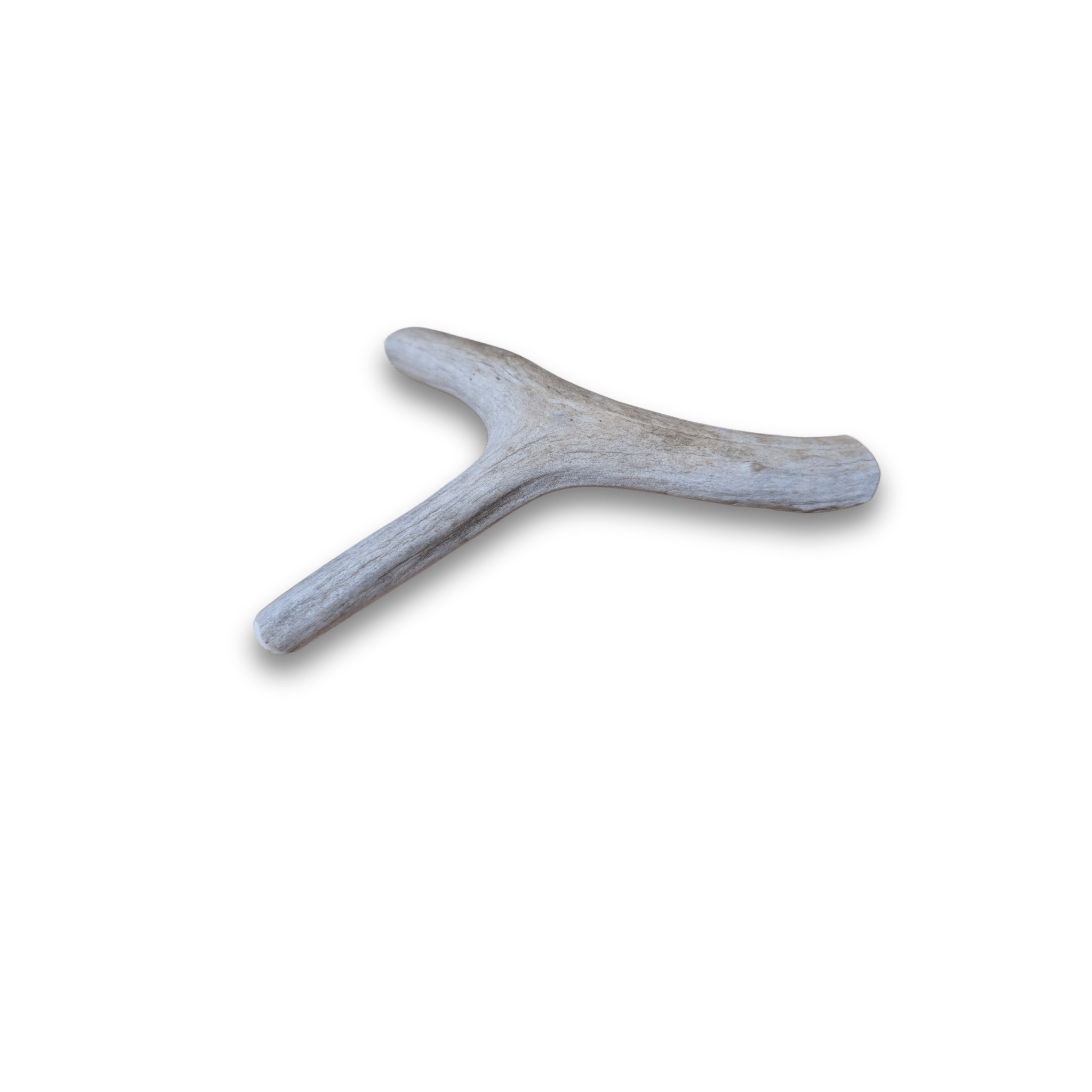 DEER ANTLER DOG CHEWS | ORGANIC CHEW FOR LARGE DOGS