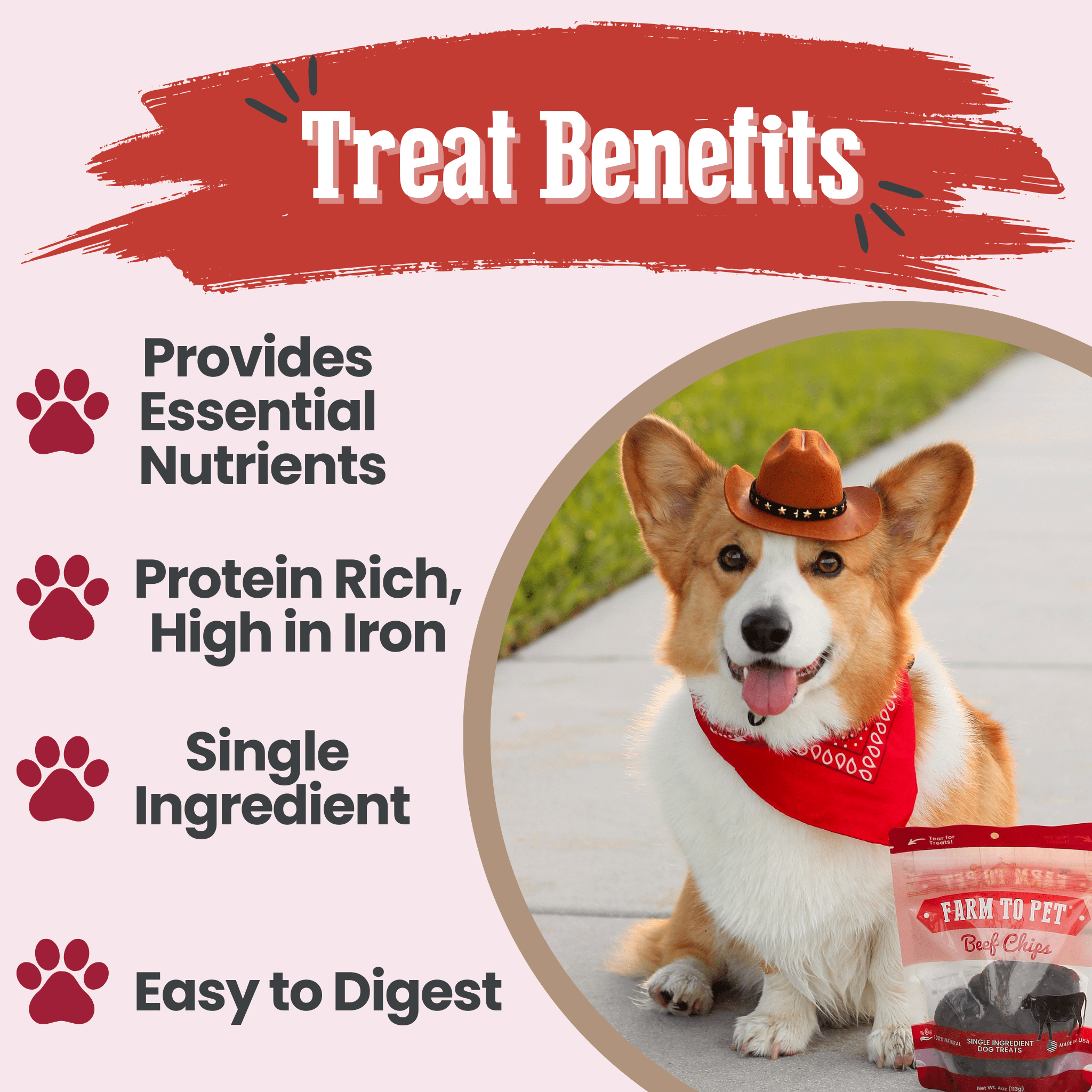 Beef Chips Dog Treats | Single-Ingredient Healthy Treats for Dogs