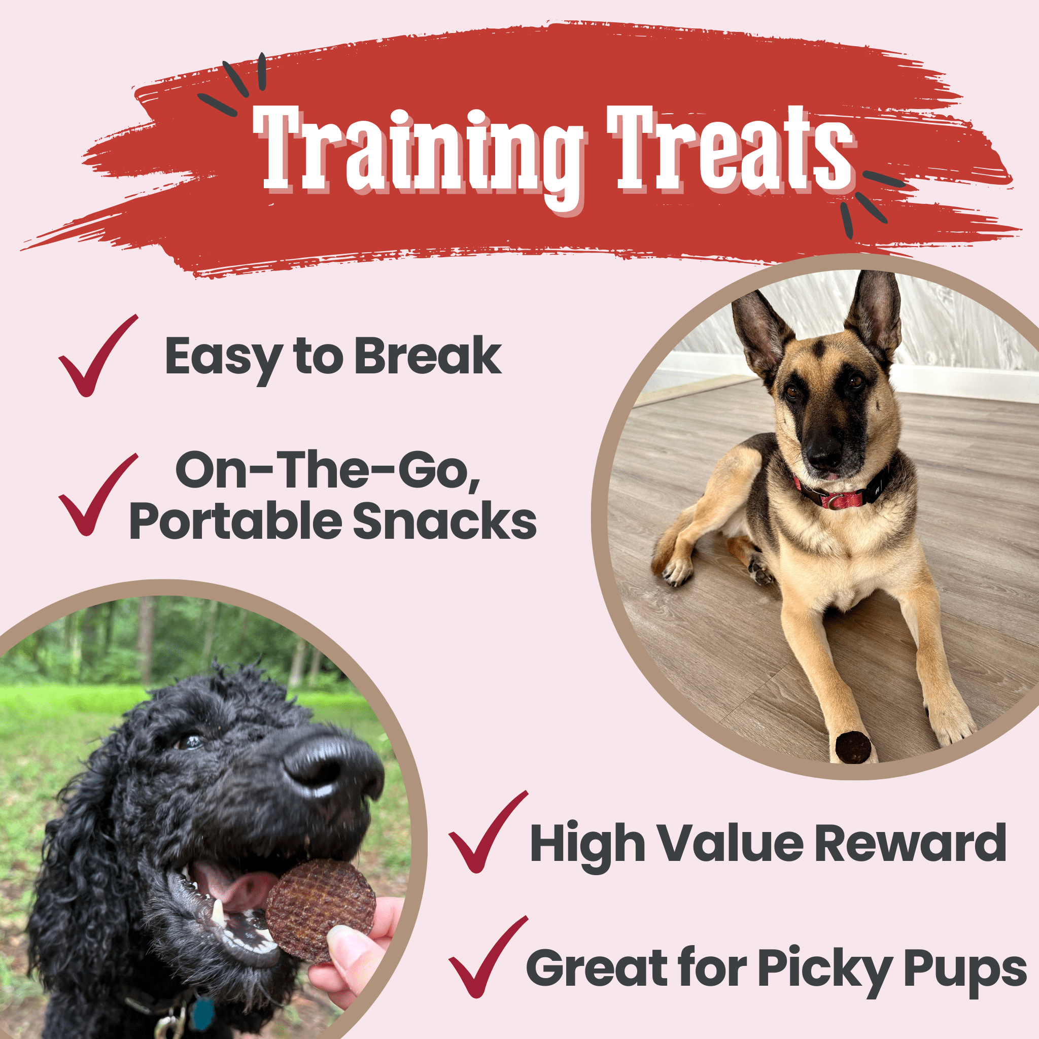 Beef Chips Dog Treats | Single-Ingredient Healthy Treats for Dogs
