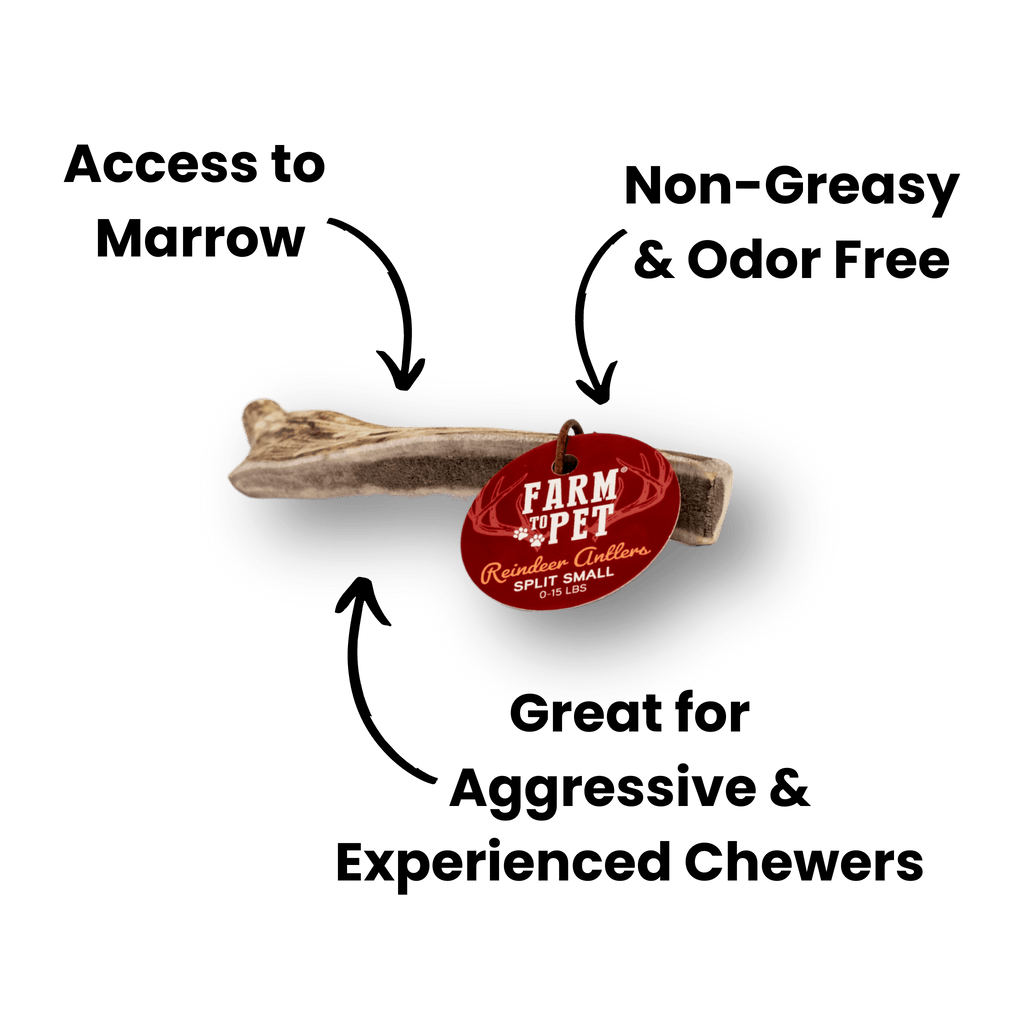 REINDEER ANTLERS FOR DOGS | ANTLER DOG CHEWS FOR AGGRESSIVE CHEWERS