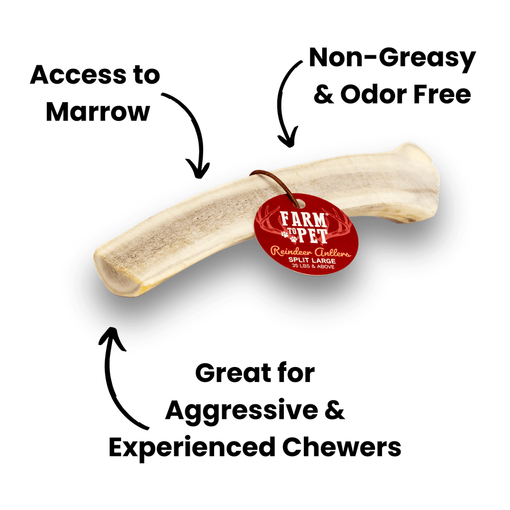 REINDEER ANTLERS FOR DOGS | ANTLER DOG CHEWS FOR AGGRESSIVE CHEWERS