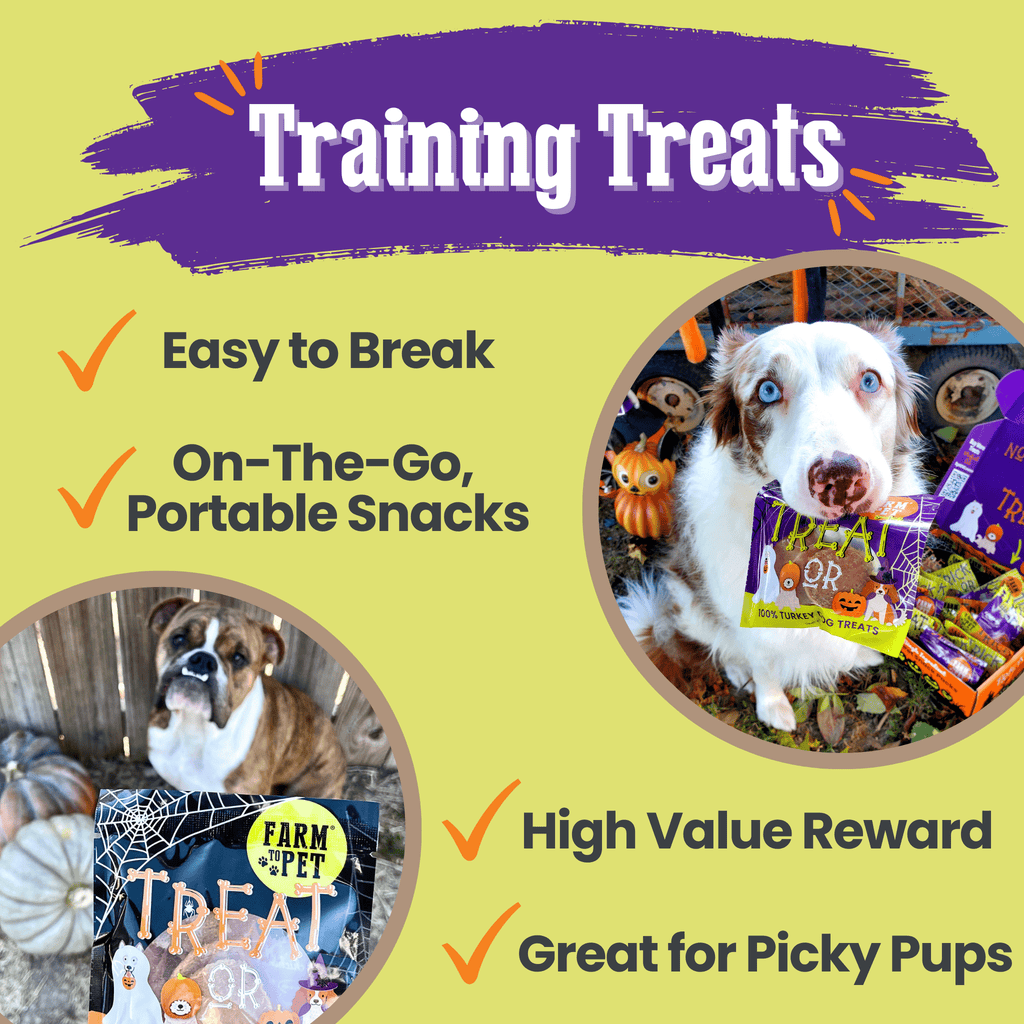 Halloween Dog Treat Snack Pack 24-Piece Bundle