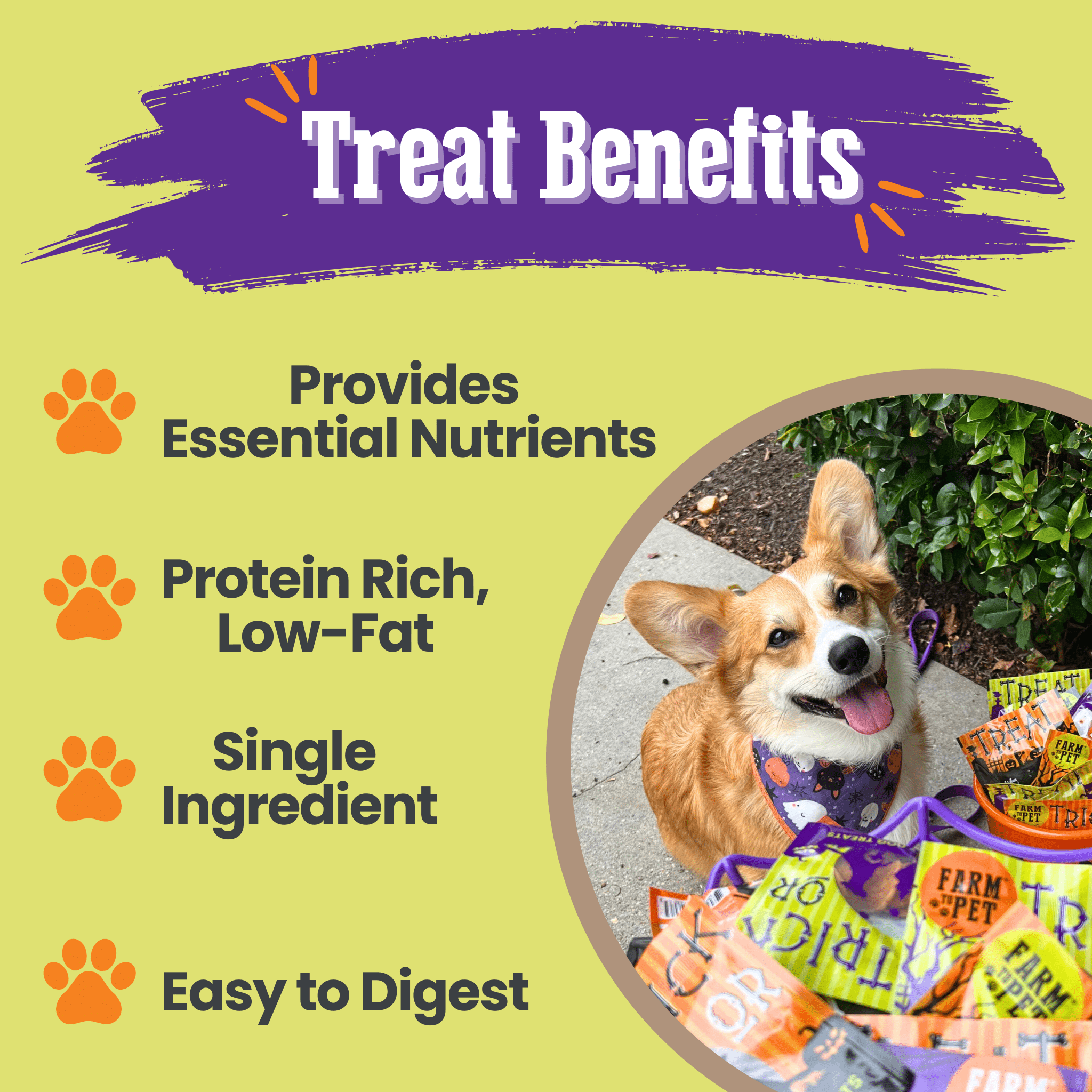 Halloween Dog Treat Snack Pack 24-Piece Bundle