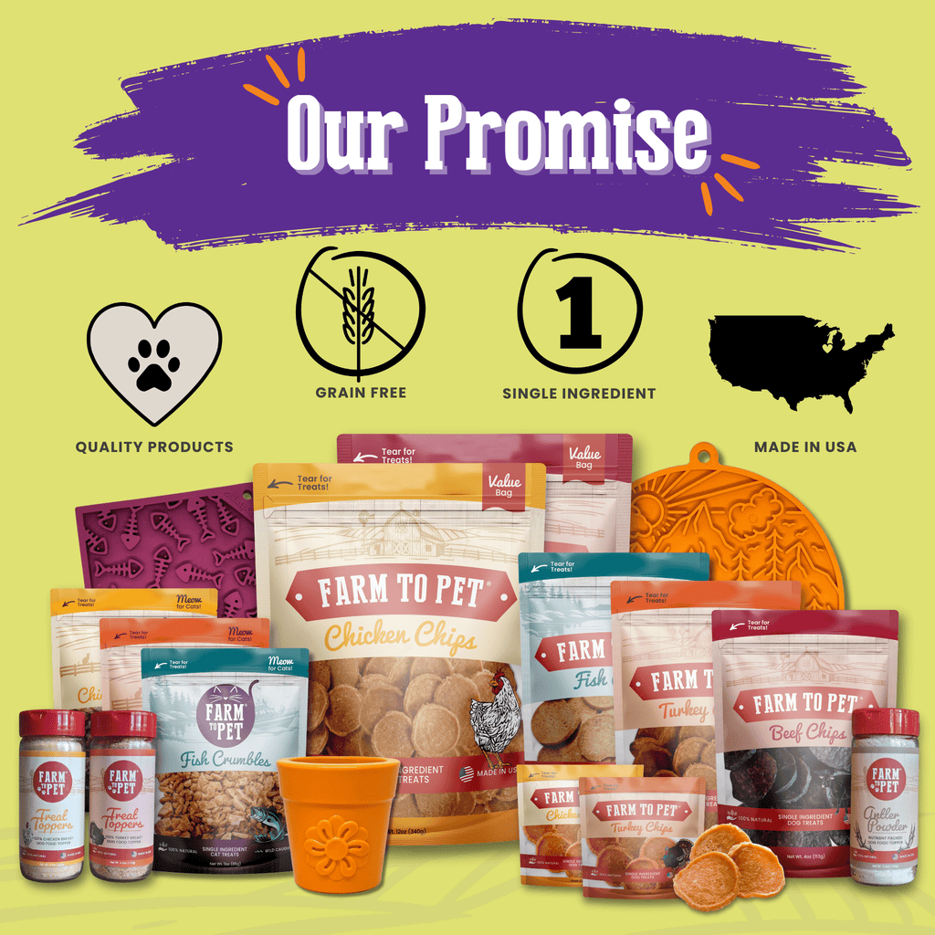 Halloween Pet Treat Mold