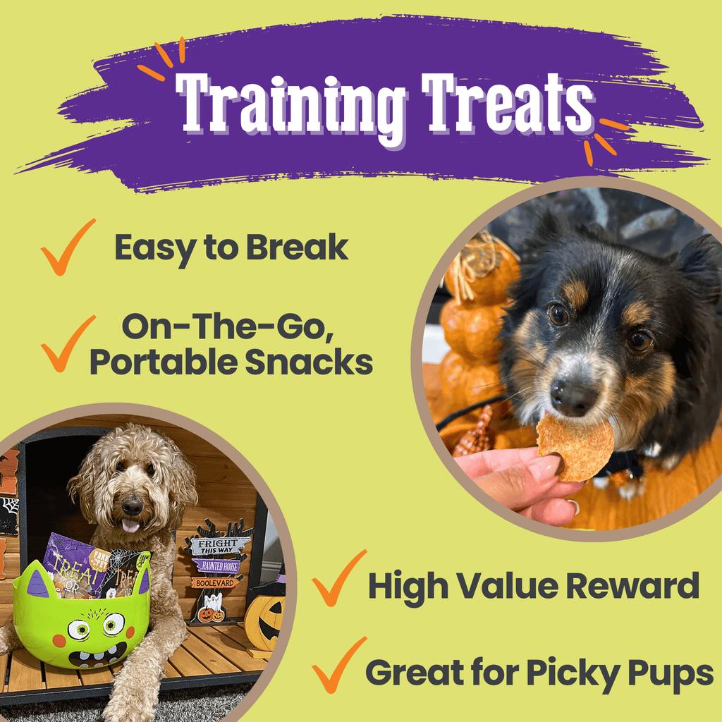 Trick or Treat Chip Mix Halloween Dog Treats