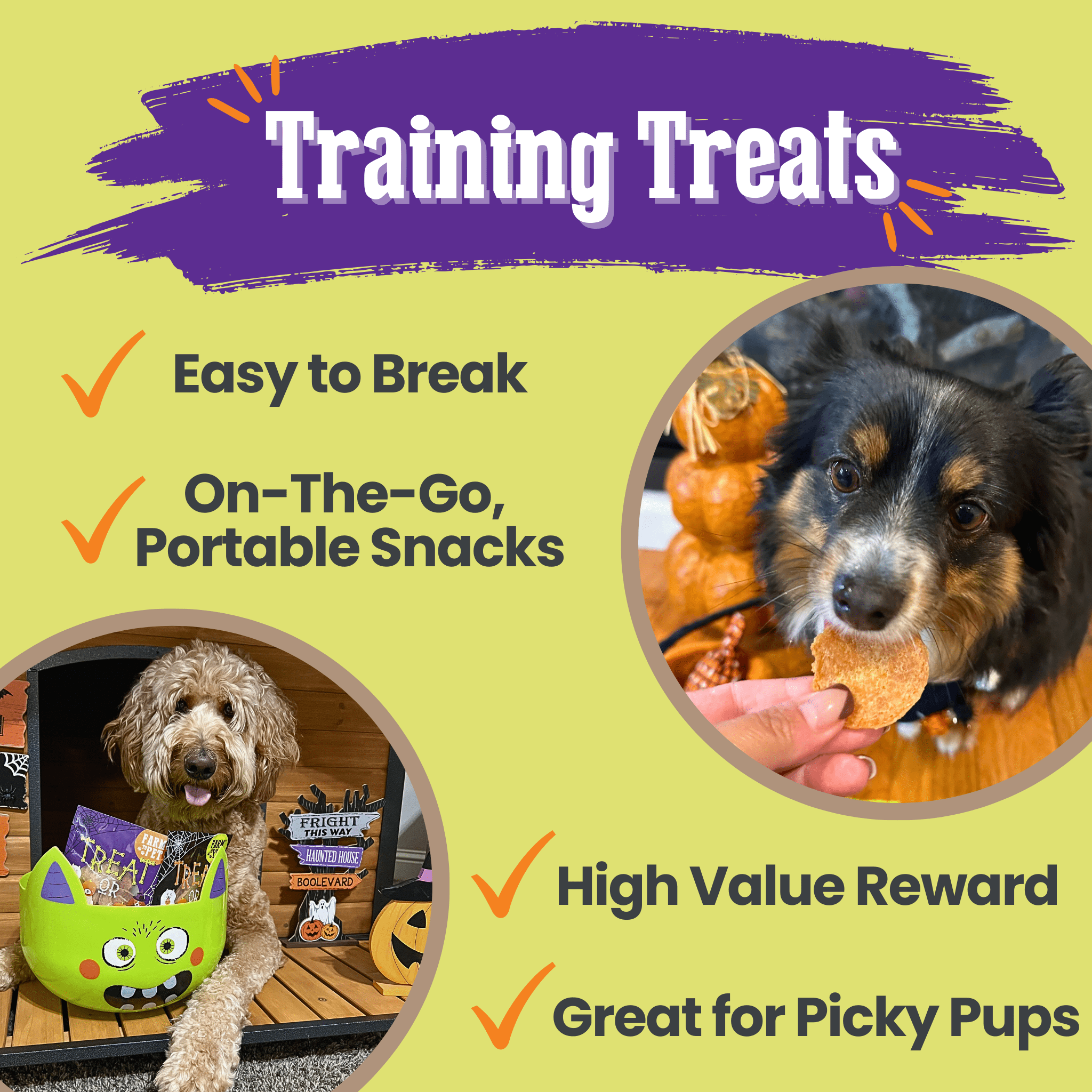 Trick or Treat Chip Mix Halloween Dog Treats