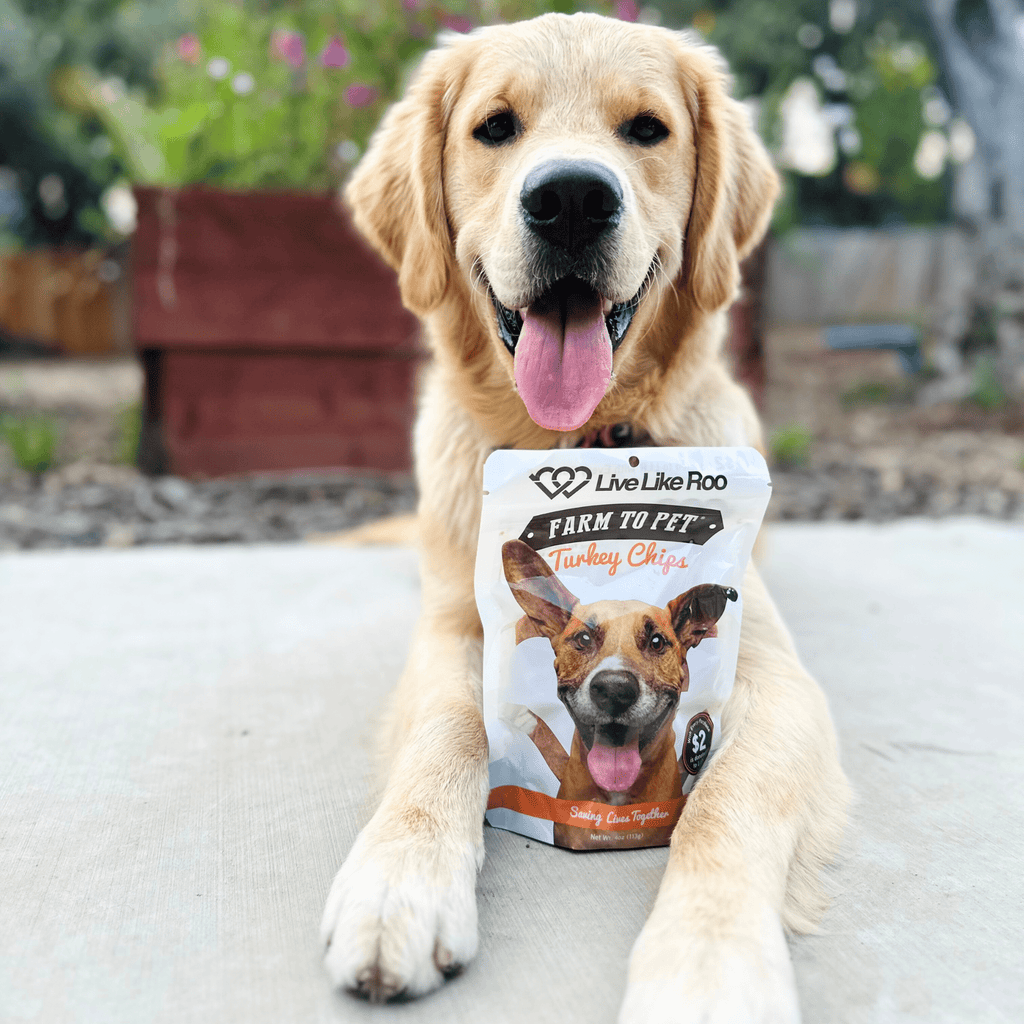 Live Like Roo Turkey Chips for Dogs | Dog Treats That Give Back
