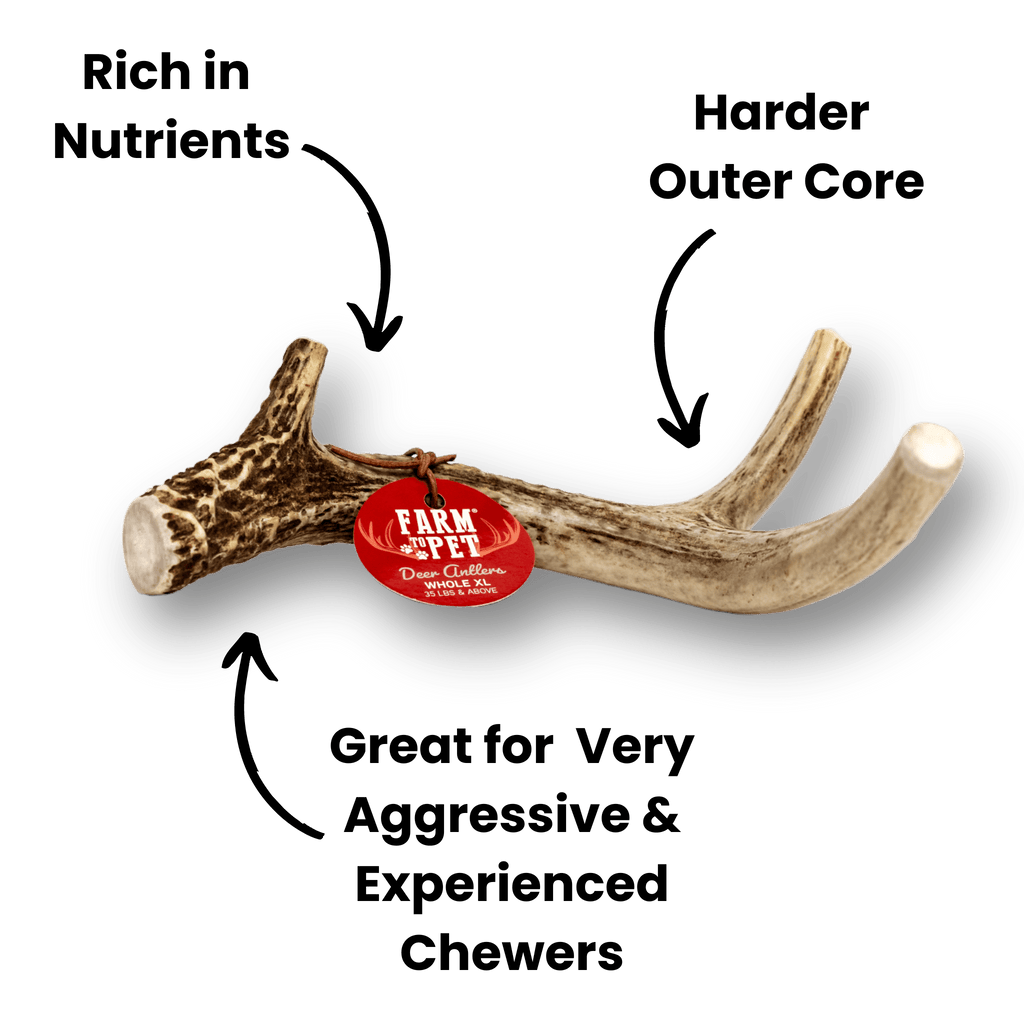 DEER ANTLER DOG CHEWS | ORGANIC CHEW FOR LARGE DOGS