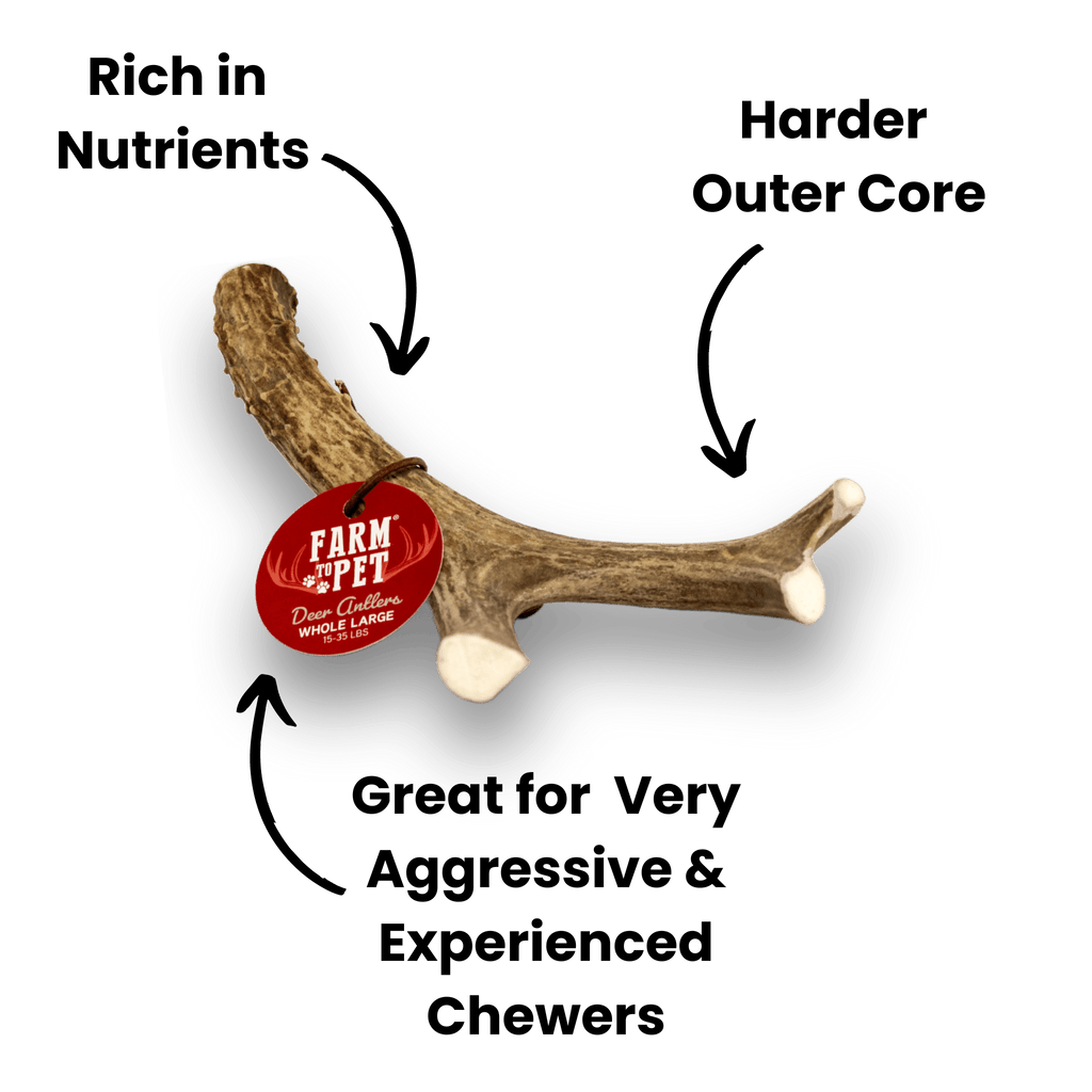 DEER ANTLER DOG CHEWS | ORGANIC CHEW FOR LARGE DOGS
