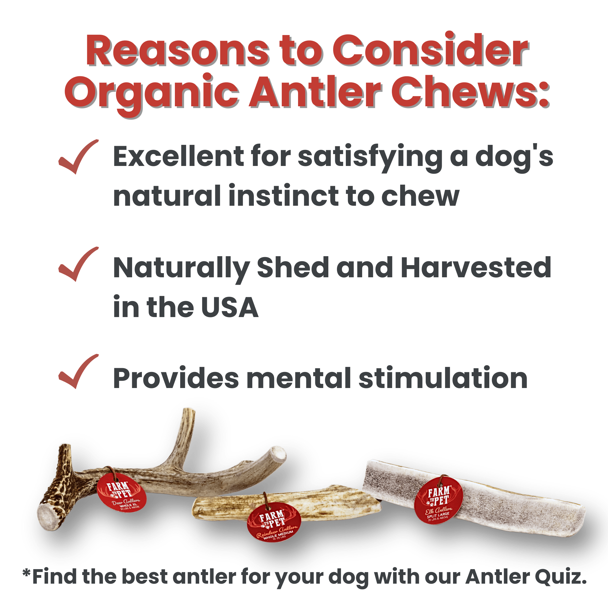 DEER ANTLER DOG CHEWS | ORGANIC CHEW FOR LARGE DOGS