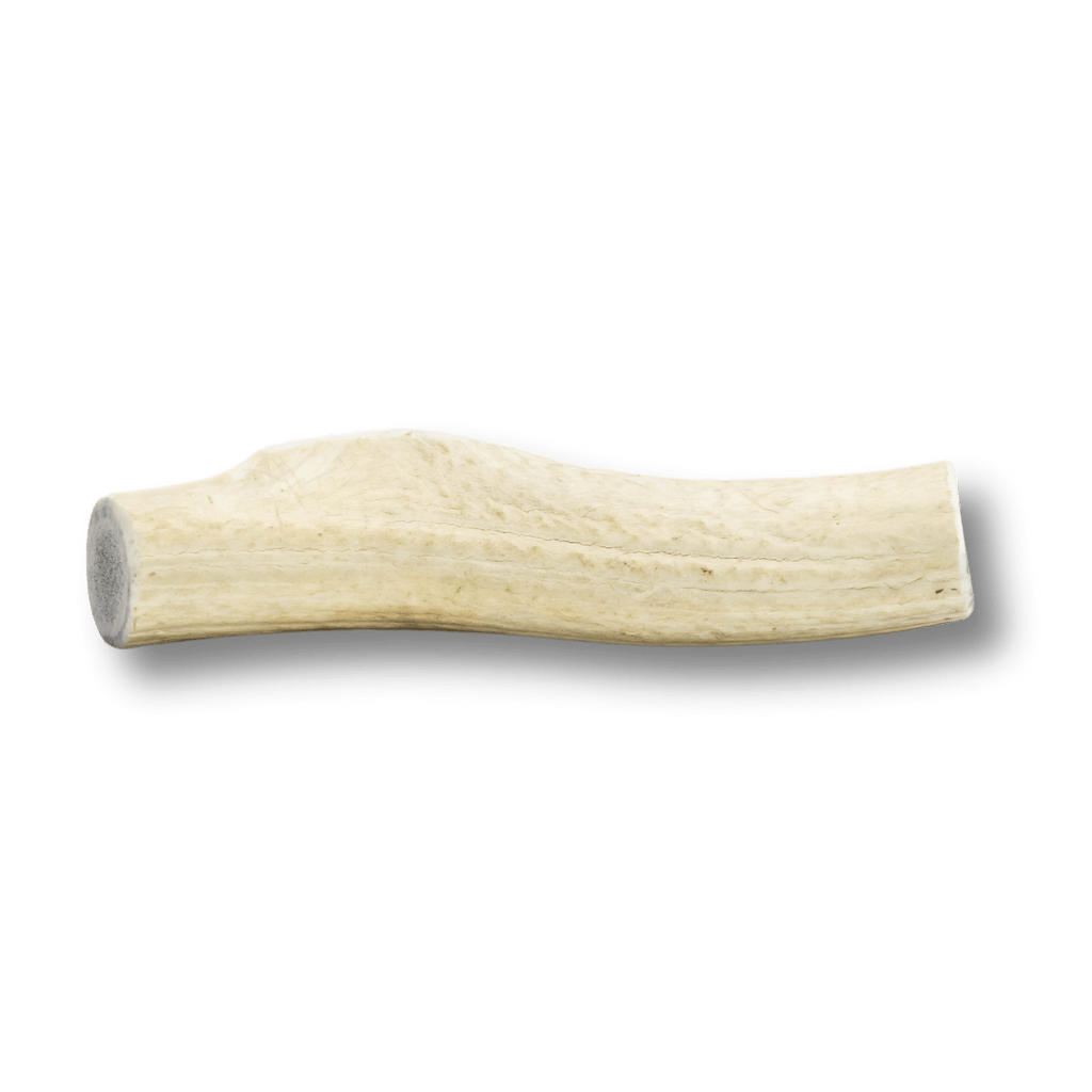 ELK ANTLERS FOR DOGS | WHOLE AND SPLIT ELK ANTLER CHEWS