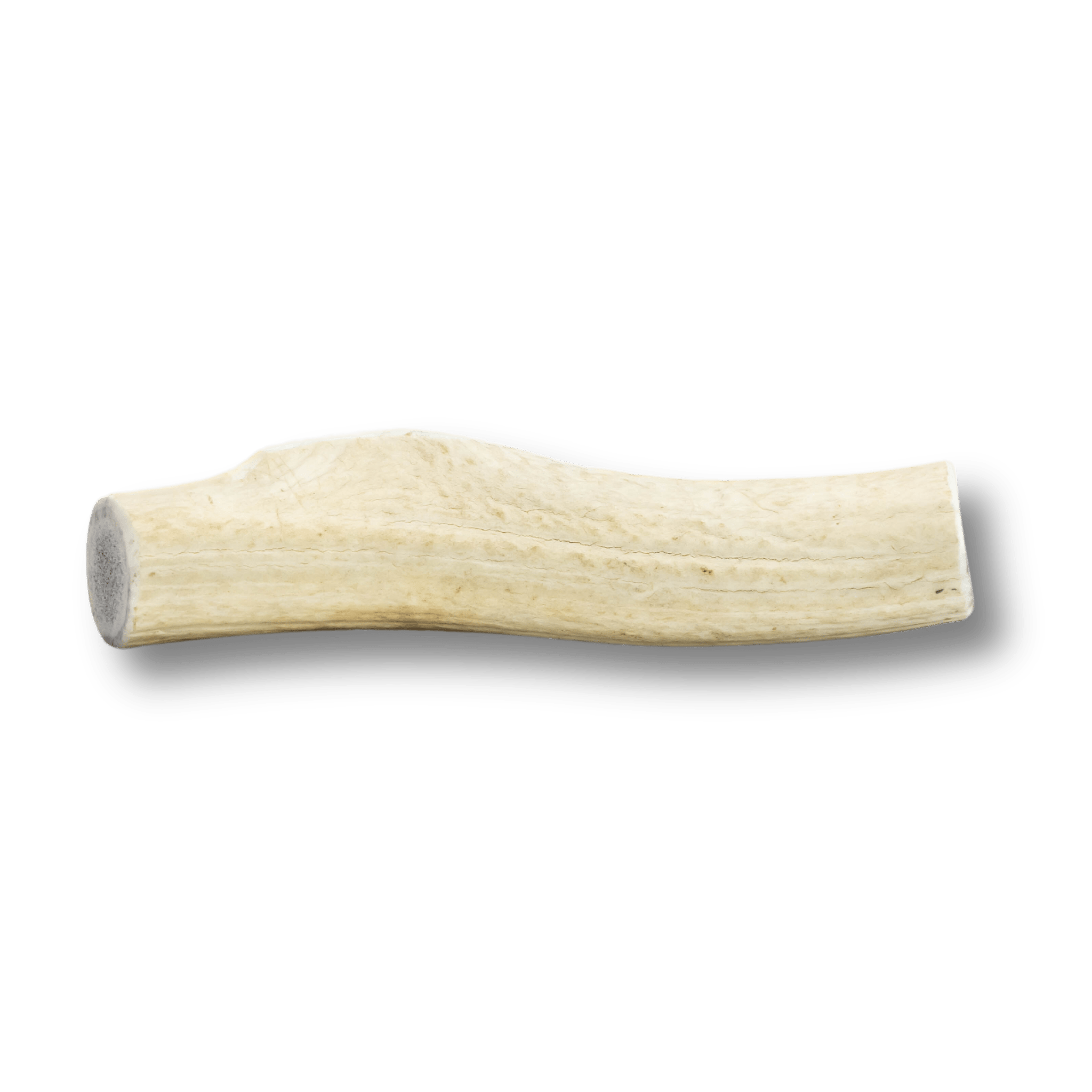 ELK ANTLERS FOR DOGS | WHOLE AND SPLIT ELK ANTLER CHEWS