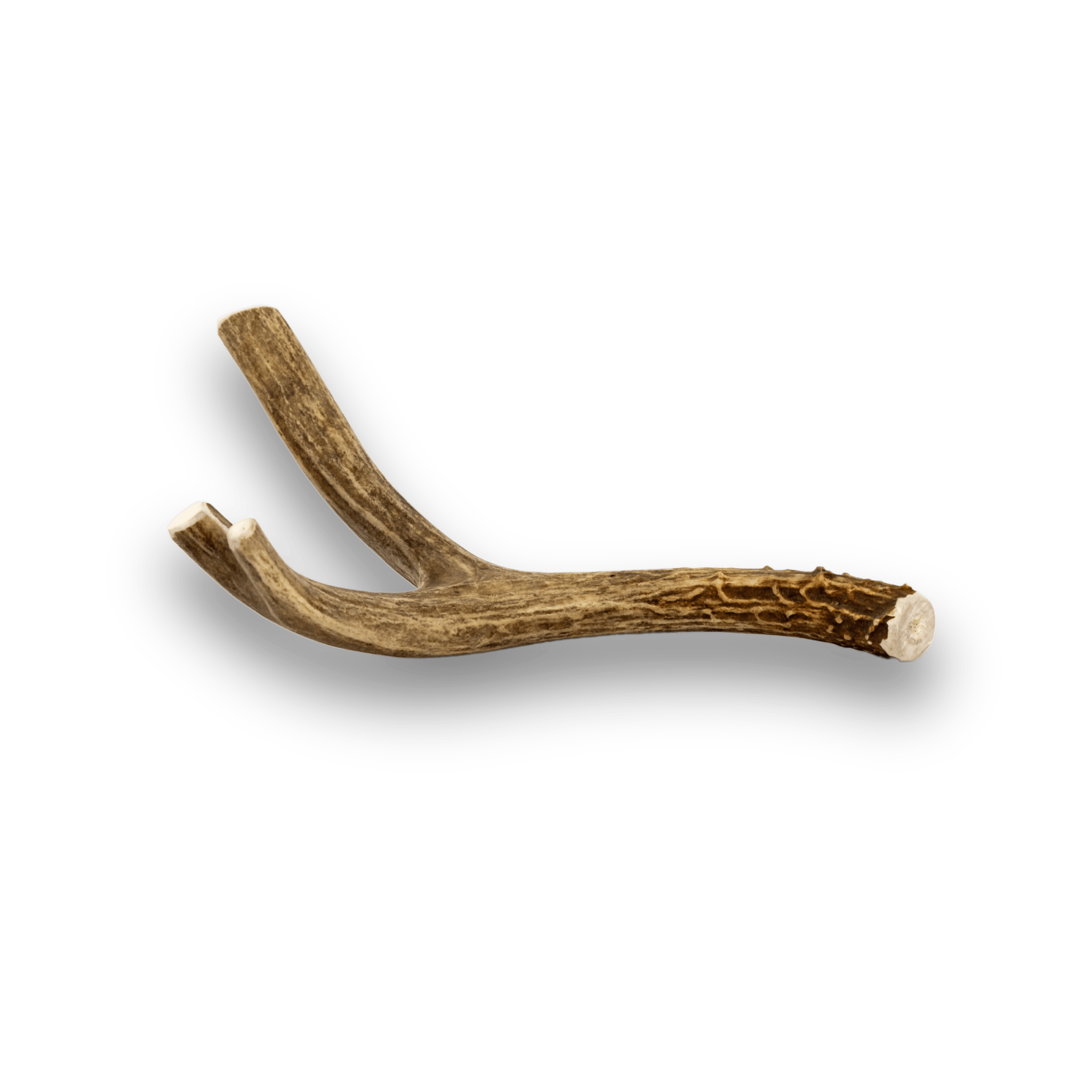 DEER ANTLER DOG CHEWS | ORGANIC CHEW FOR LARGE DOGS