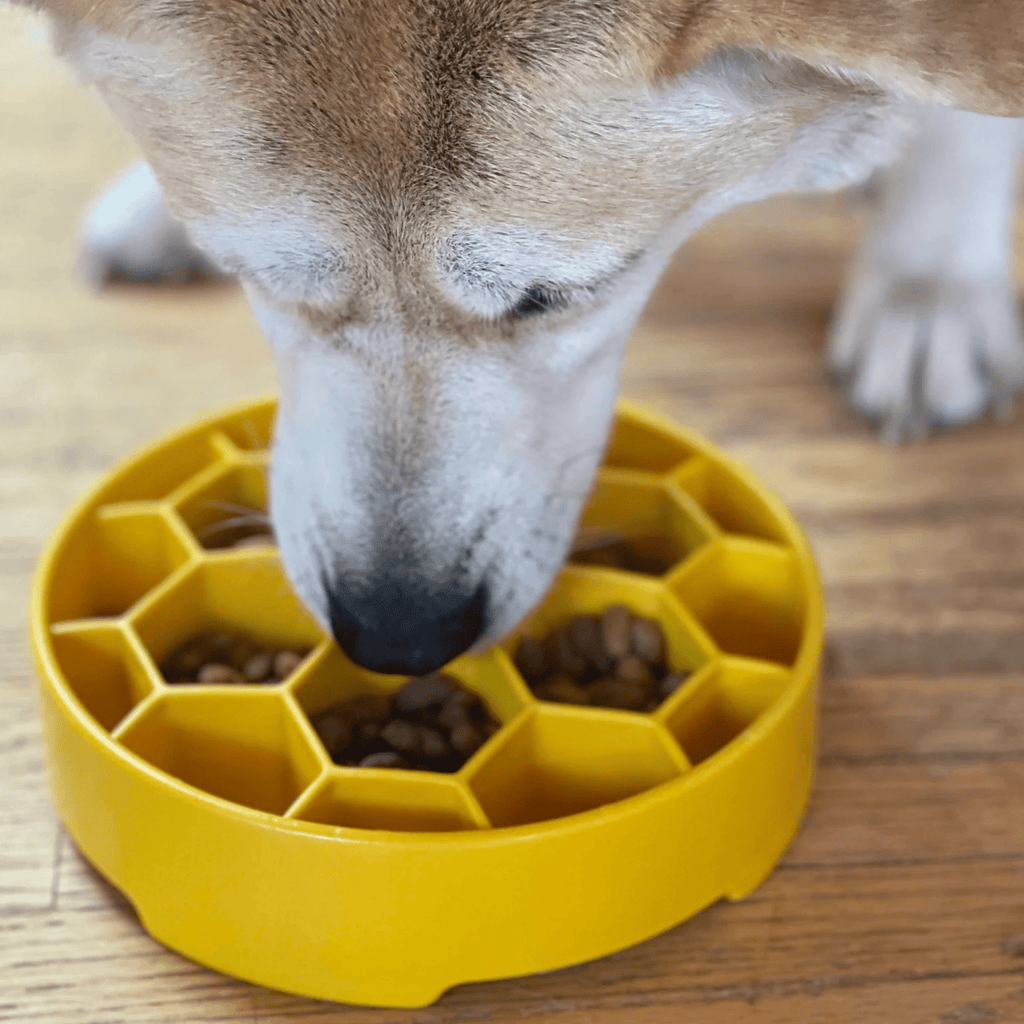 Slow Feeder Dog Bowls