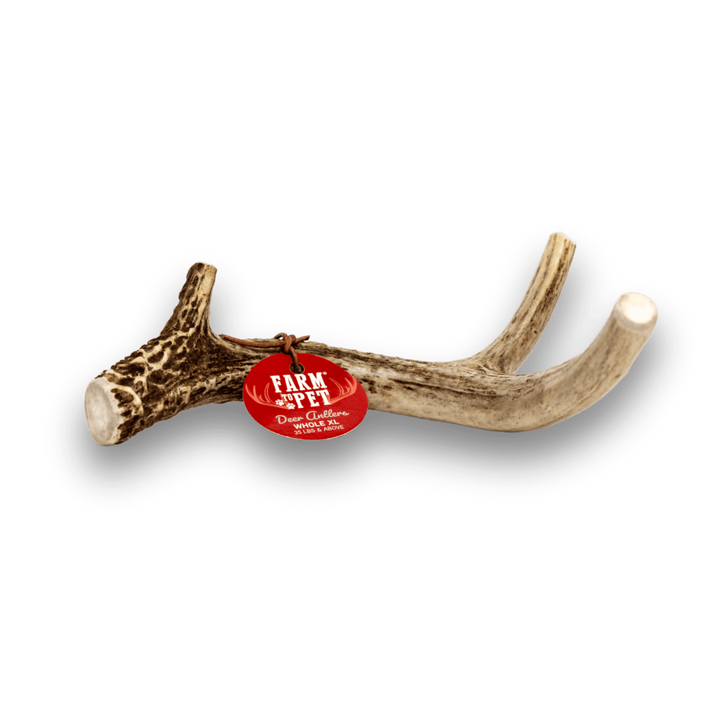 DEER ANTLER DOG CHEWS | ORGANIC CHEW FOR LARGE DOGS