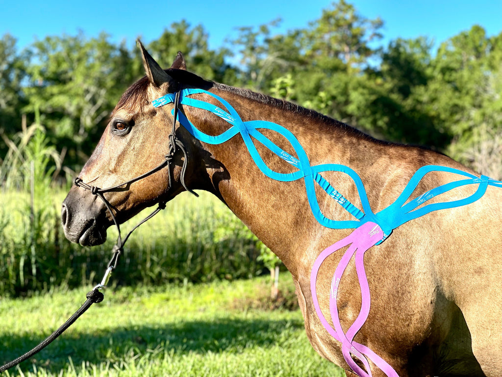 Equi-Tape® Fundamentals Course & Module Bundle