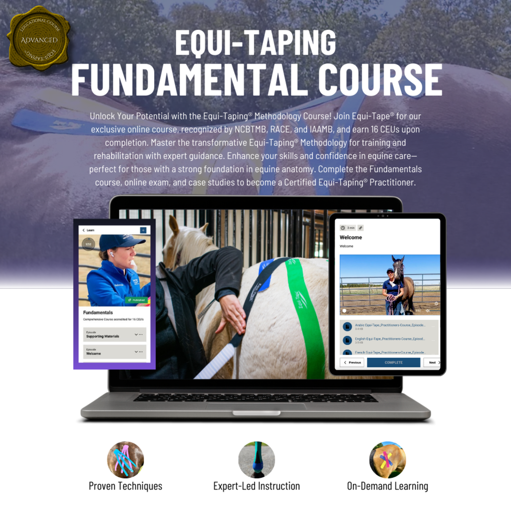 The Fundamentals of Equi-Taping® Online Course
