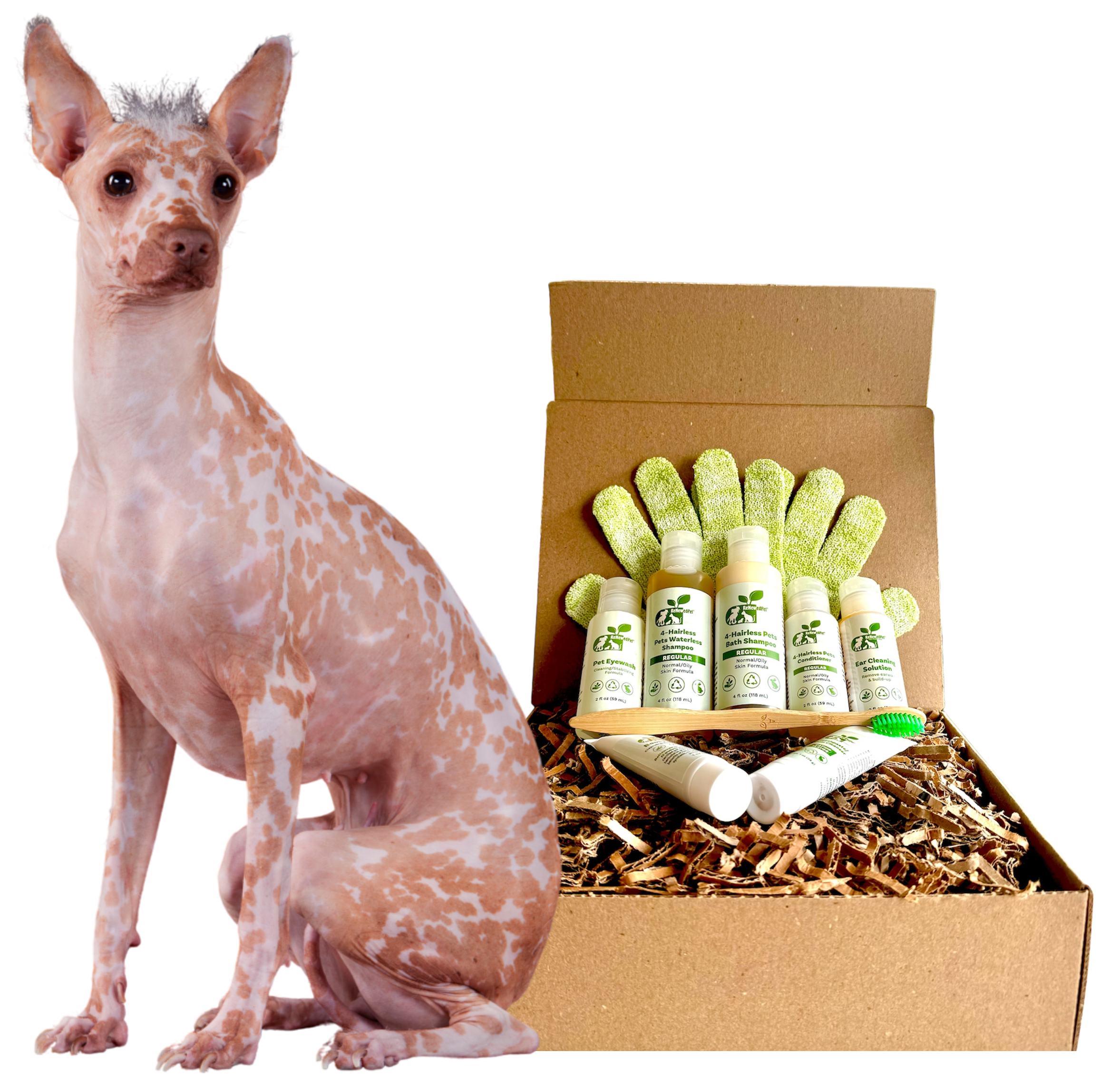 4-HAIRLESS PETS *DOG REGULAR KIT