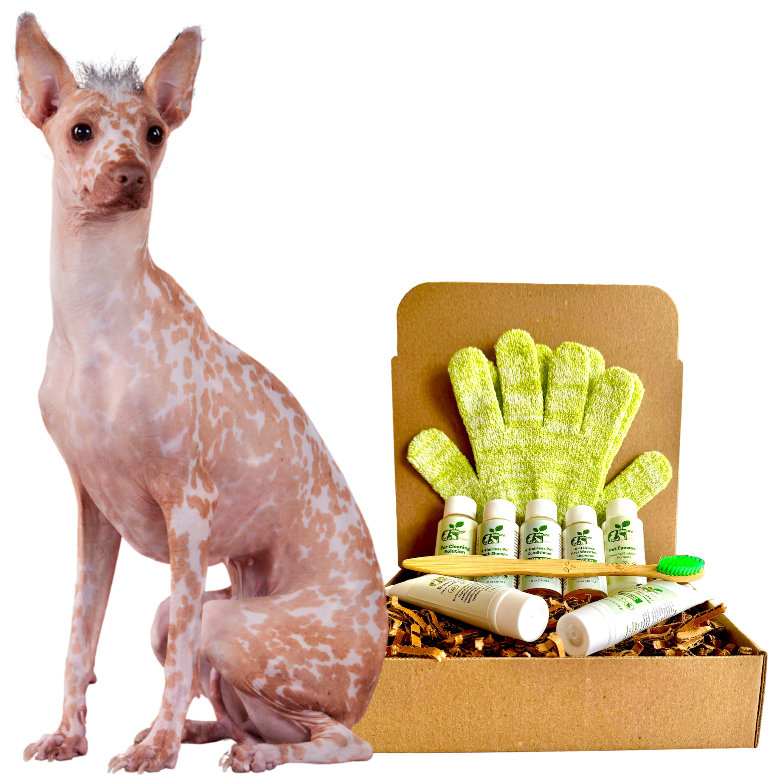 4-HAIRLESS PETS *DOG REGULAR KIT