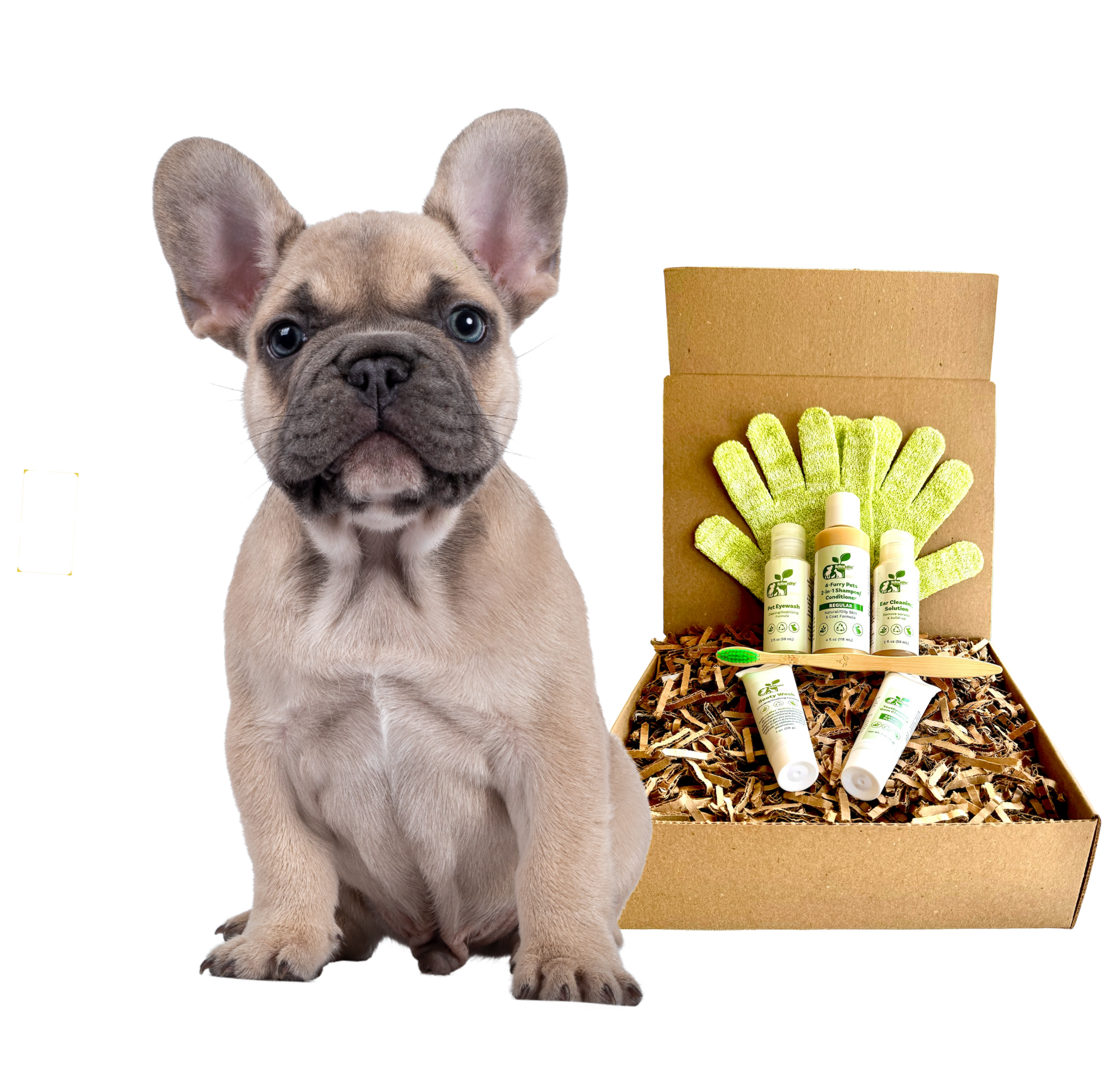 4-FURRY DOGS *REGULAR GROOMING KIT