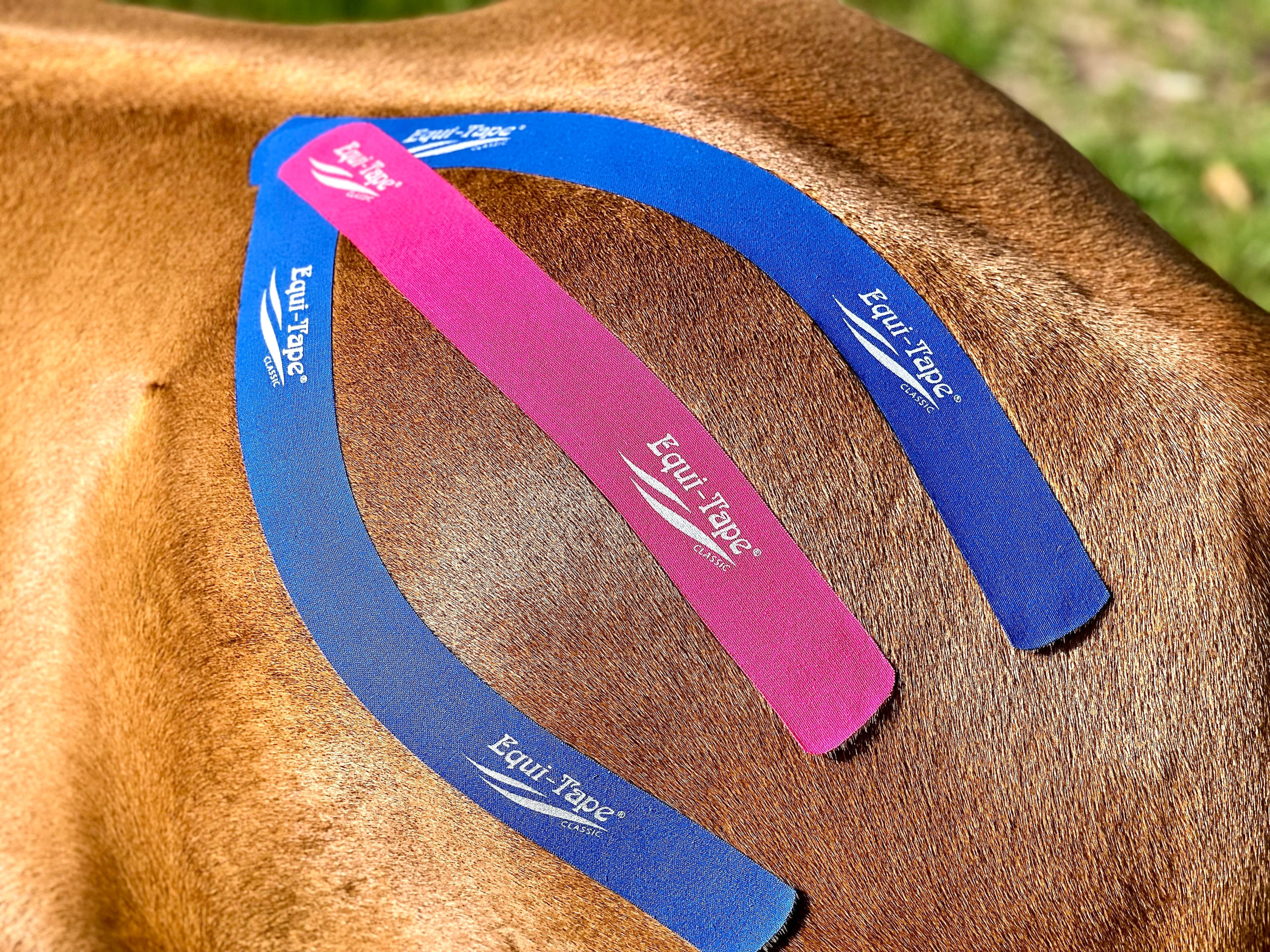 Equi-Taping® Basics Course