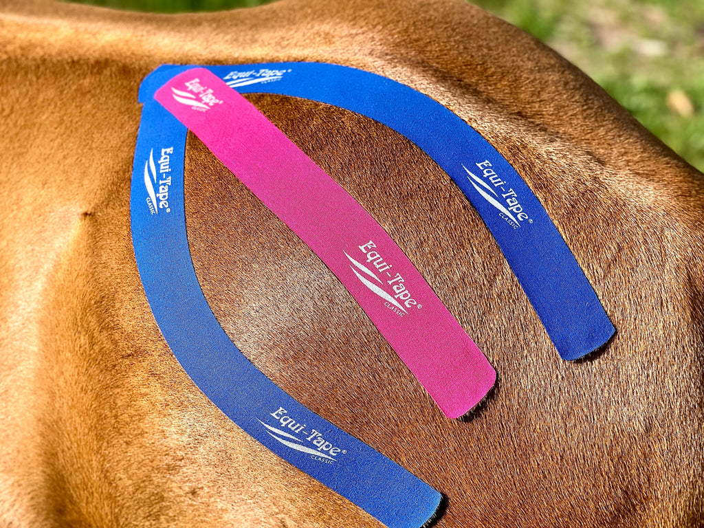 Equi-Taping® Kit