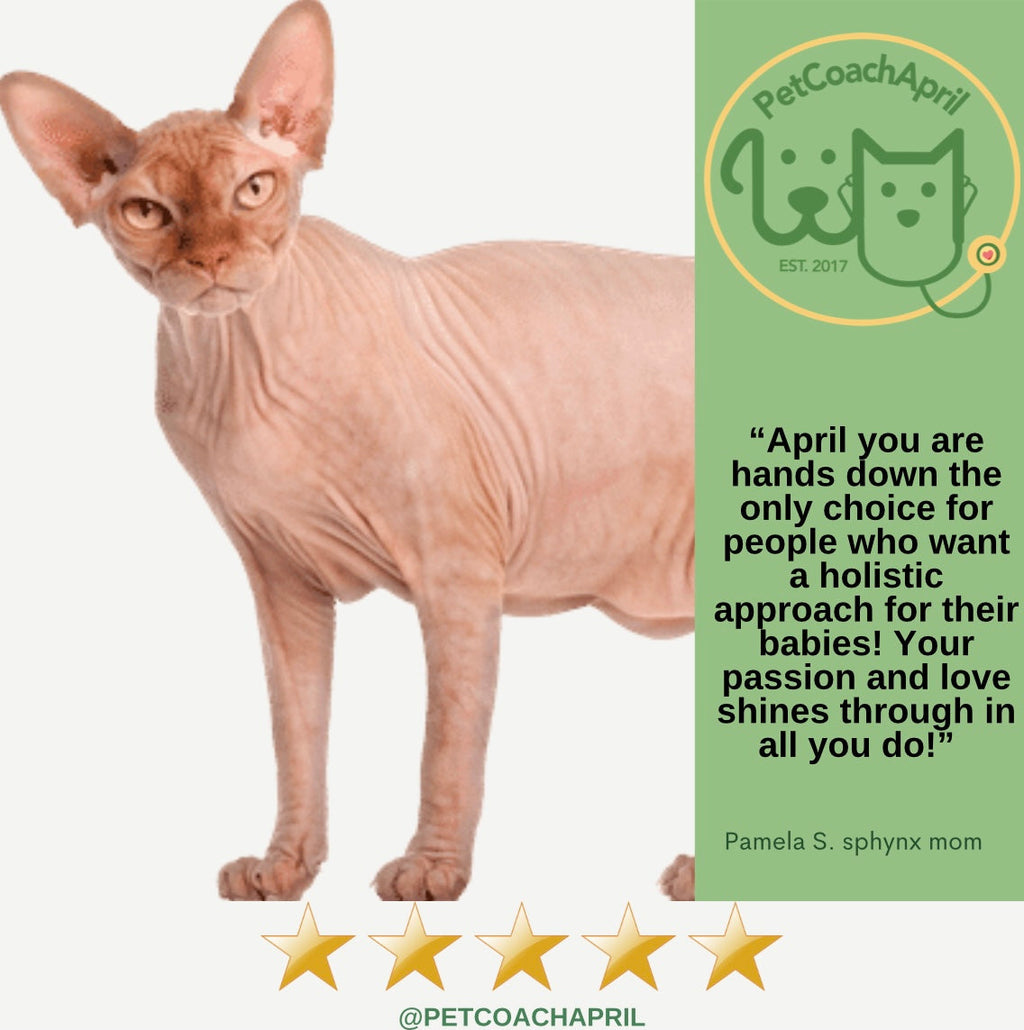 PET HEALTH & BEHAVIOR CONSULTS