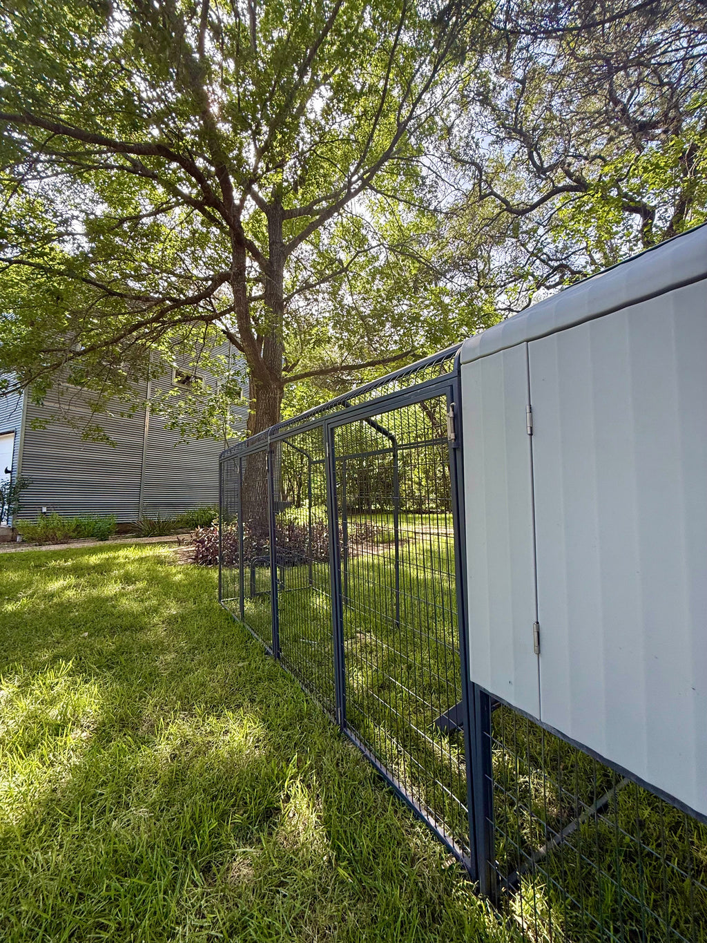 The Smart Coop + 2X Extended Run (+ Free Chicks! 🐣 + Solar! ☀️)