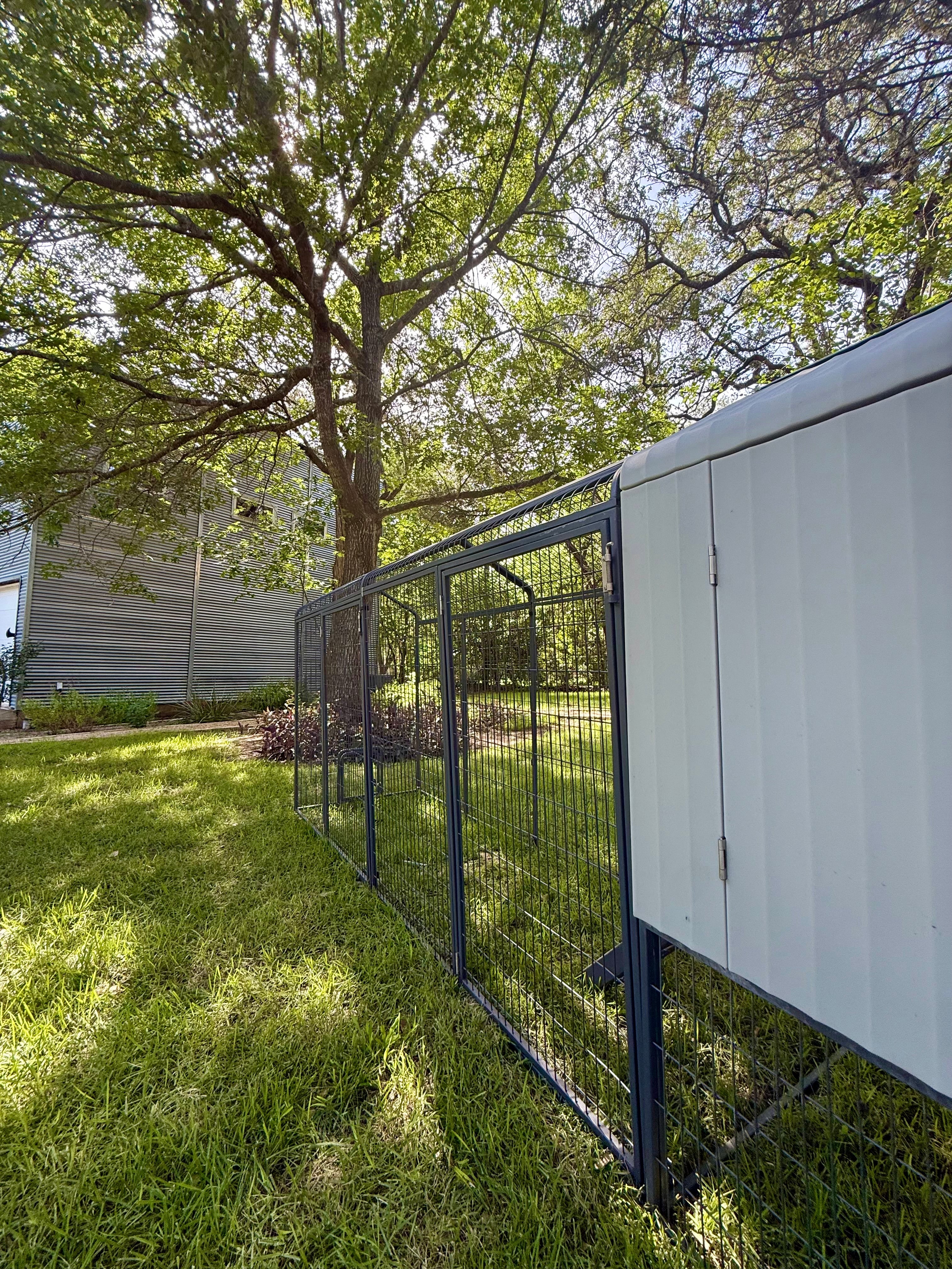 The Smart Coop + 2X Extended Run (+ Free Chicks! 🐣 + Solar! ☀️)