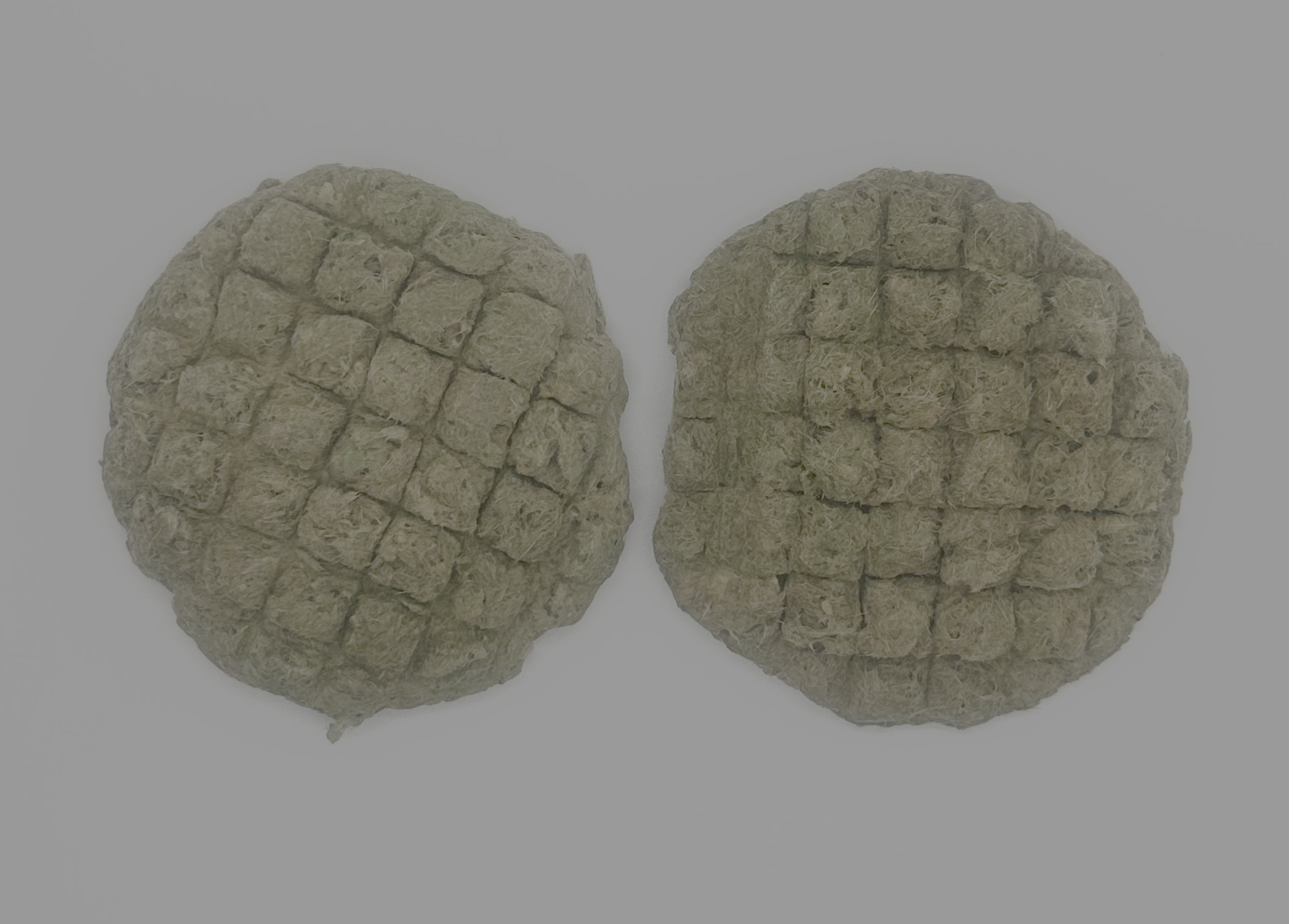 Raw, Freeze-Dried 25/25/50 Patties for Bearded Dragons and Blue Tongued Skinks