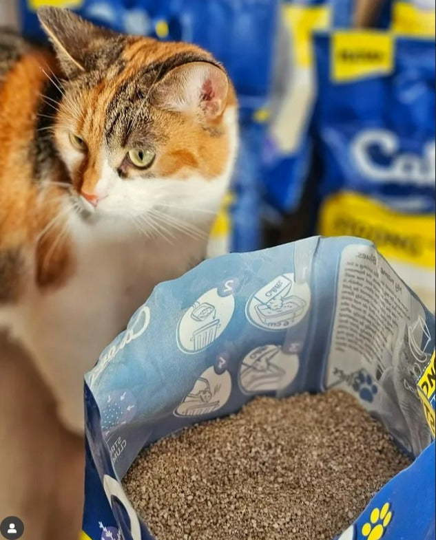 Calitti EXTREME Clumping Clay Unscented 20 LB #223888