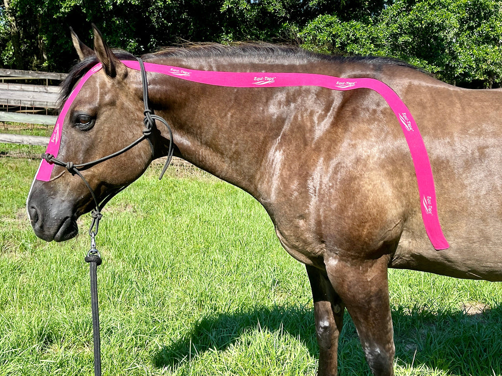 Equi-Tape® Advanced Education Package