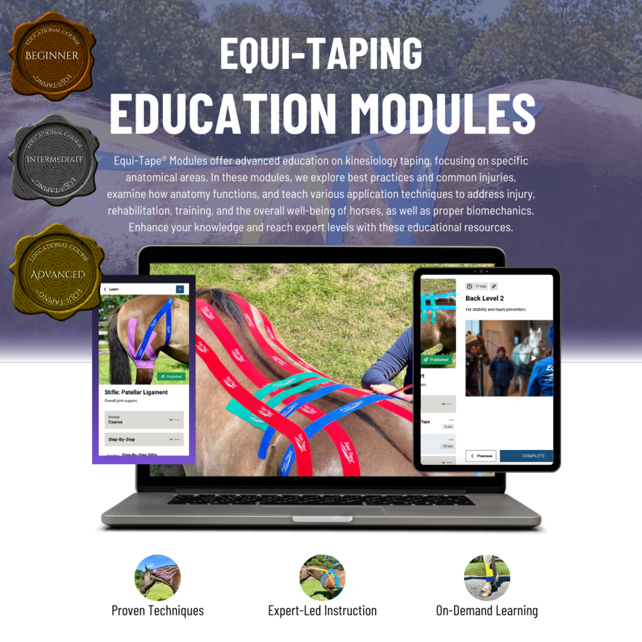 Equi-Tape® Fundamentals Course & Module Bundle