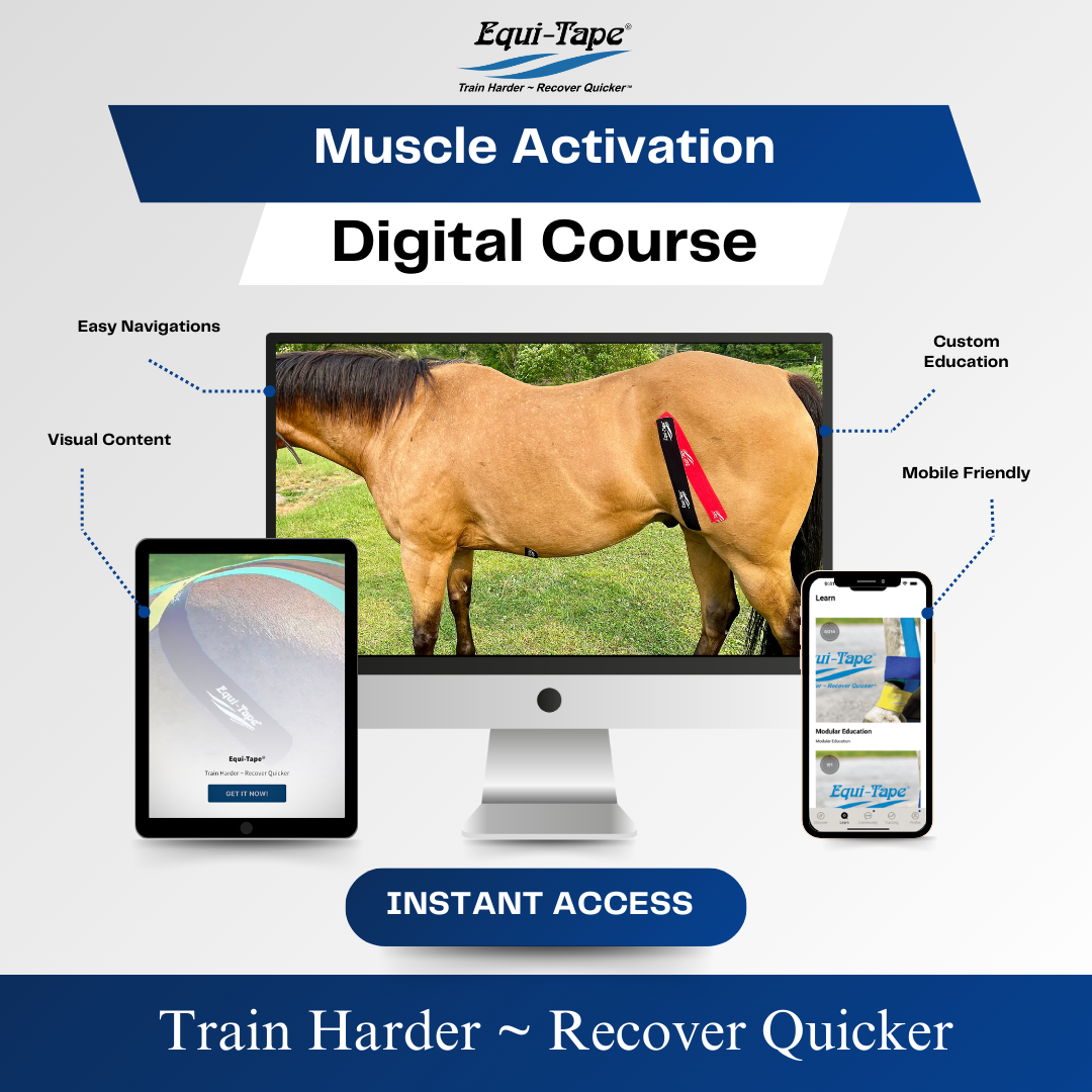 Practical Solutions À LA CARTE