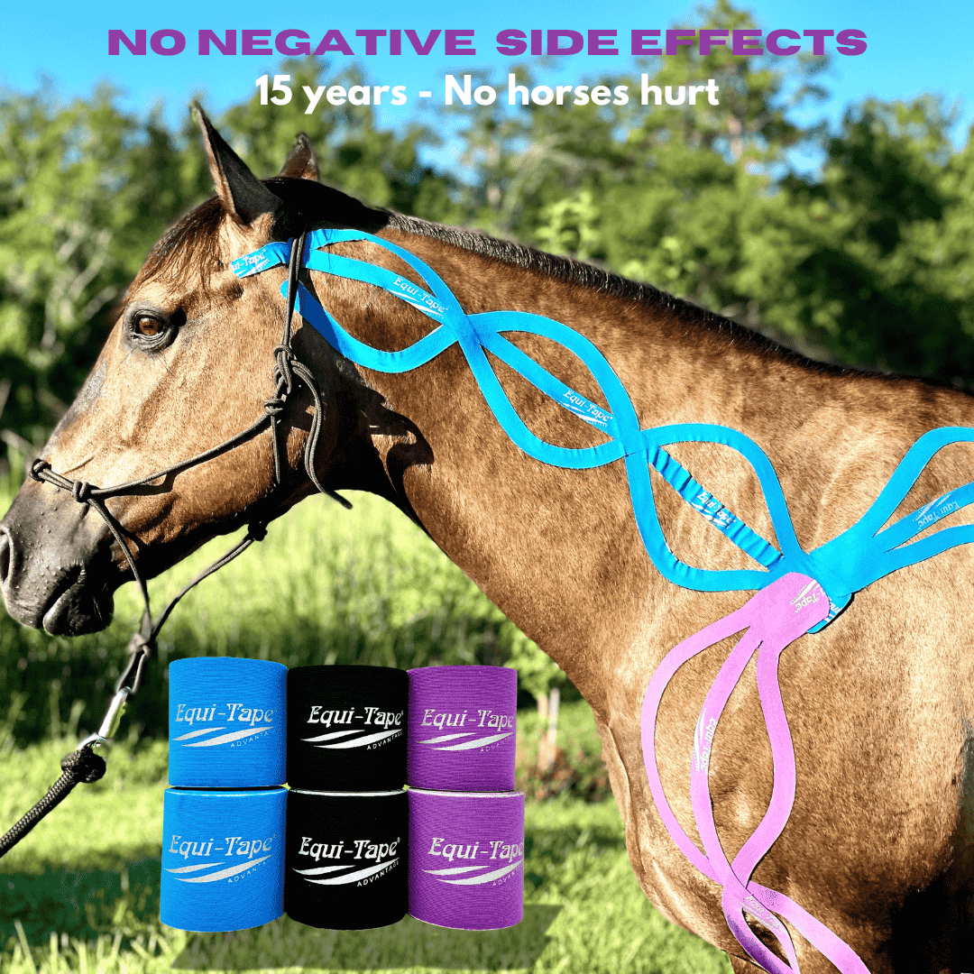 Advantage 3" Color Pack - 2 Rolls (Purple, Teal, Black)