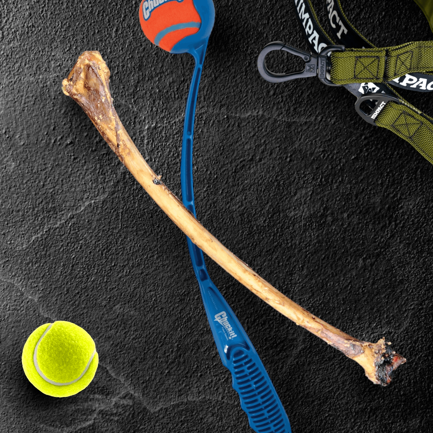 Ostrich Wing Bone (13" x 1.5"): The Ultimate Long-Lasting Chew for Small Dogs & Light Chewers