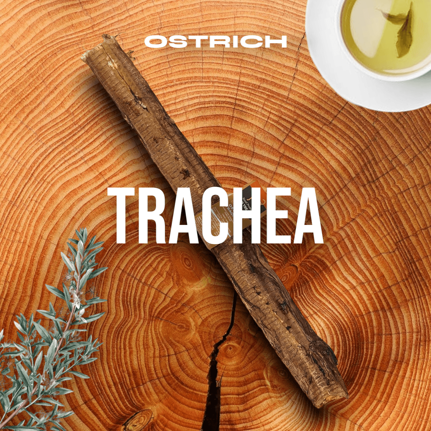 Crunchy Ostrich Trachea Whole. Light-weight, Natural Dog Chew Treat by Savannah Pet Food