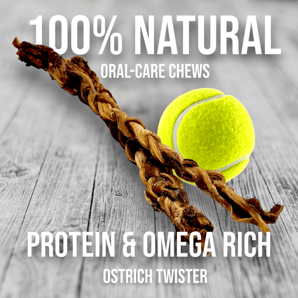 Ostrich Tendon Twister (16" x 2.5" x 1"): The Satisfying, All-Natural Chew for Dental Health & Joint Support
