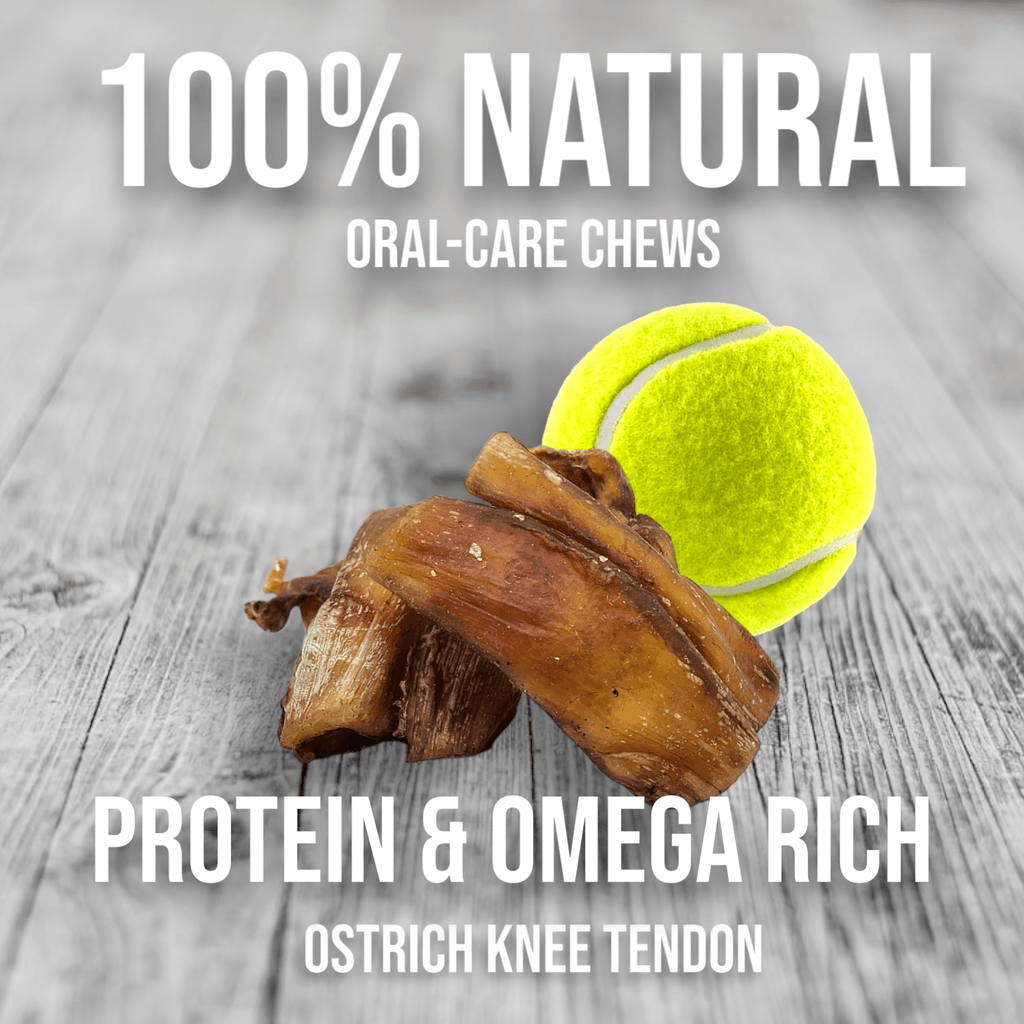Chewy Ostrich Knee Tendon: The Satisfying, Joint-Supporting Chew