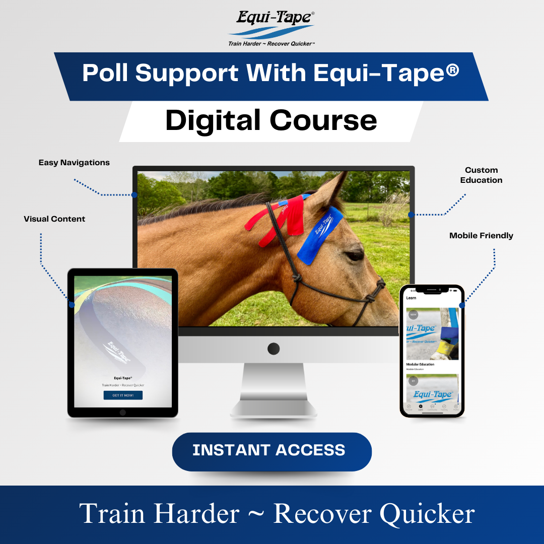 Practical Solutions À LA CARTE