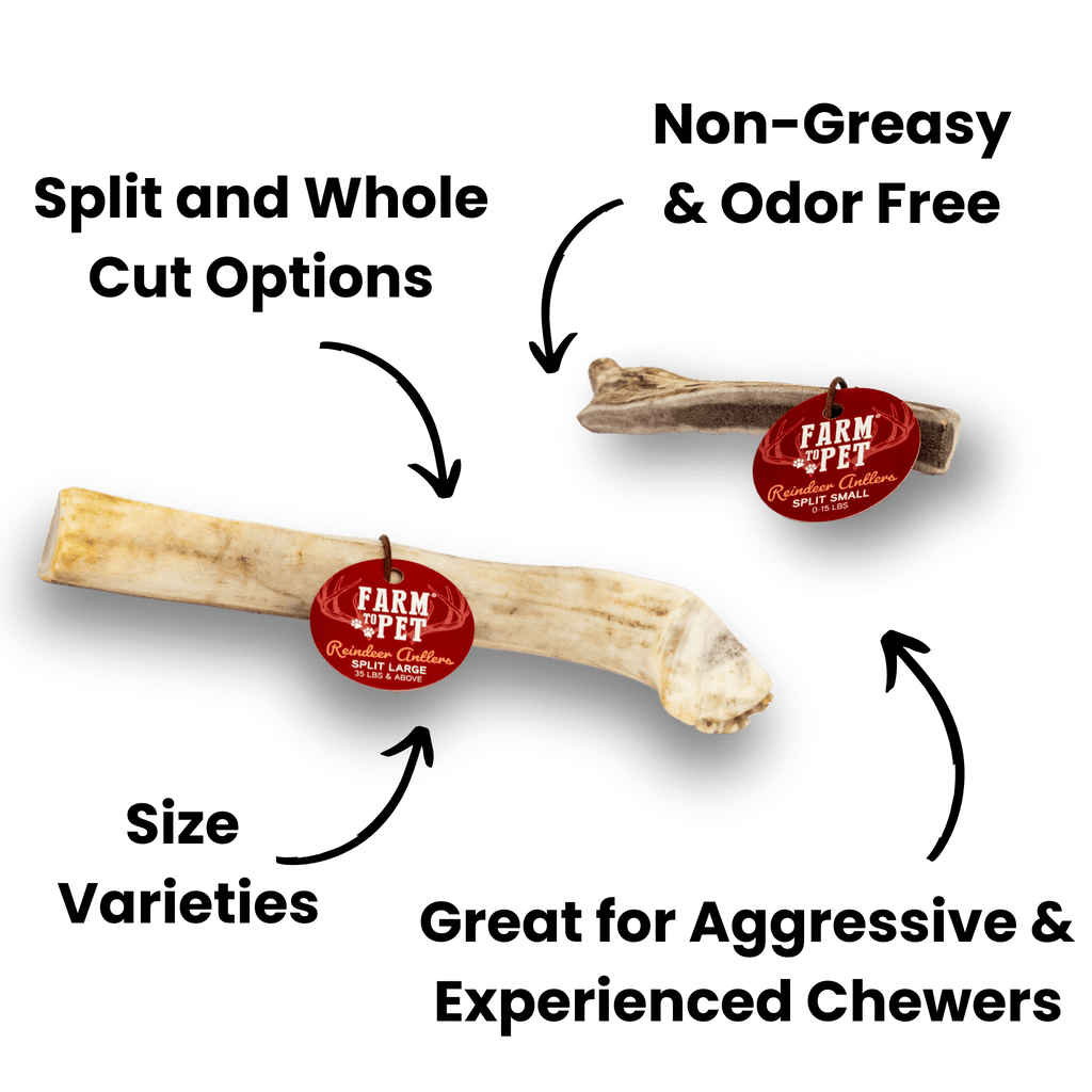 REINDEER ANTLERS FOR DOGS | ANTLER DOG CHEWS FOR AGGRESSIVE CHEWERS