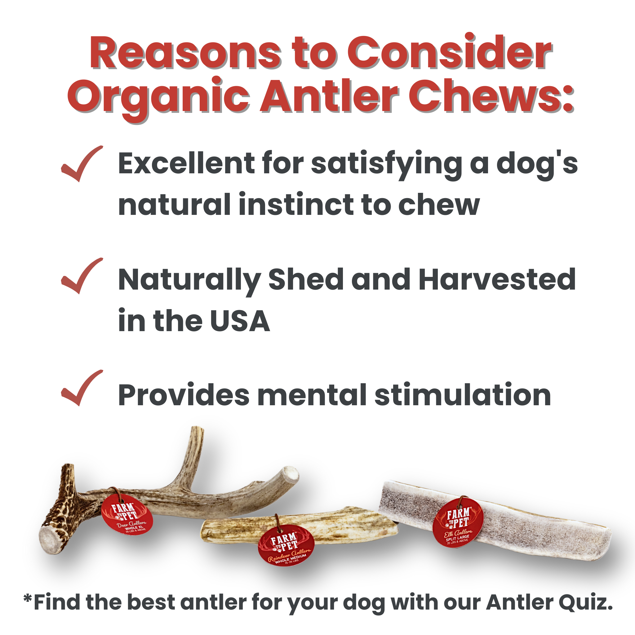 REINDEER ANTLERS FOR DOGS | ANTLER DOG CHEWS FOR AGGRESSIVE CHEWERS