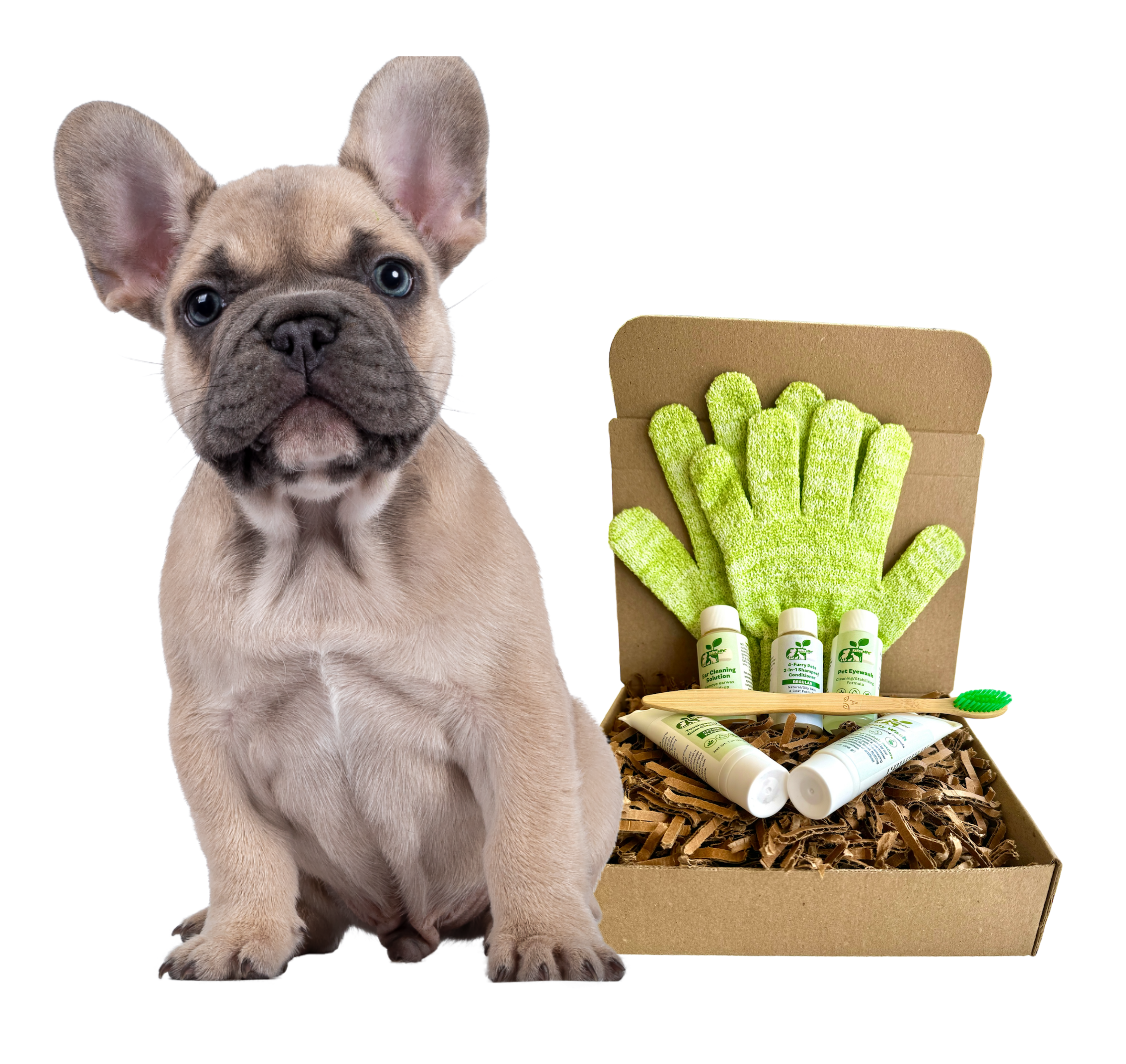 4-FURRY DOGS *REGULAR GROOMING KIT