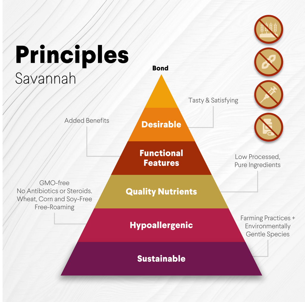 Chewy Ostrich Whole Gizzard: The Protein & Omega-3 Rich, Natural Dog Chew Treat
