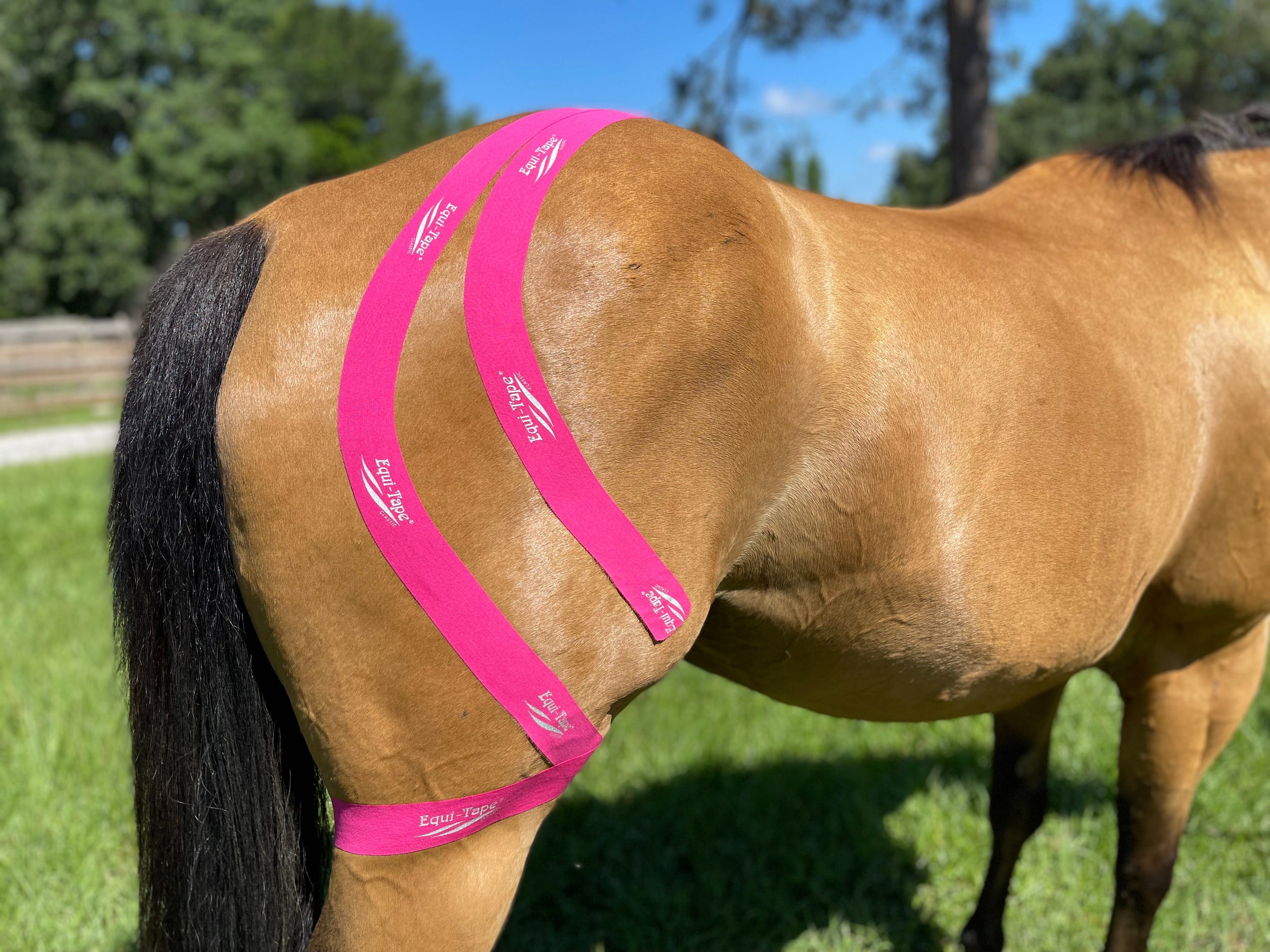 Equi-Tape® Advanced Education Package