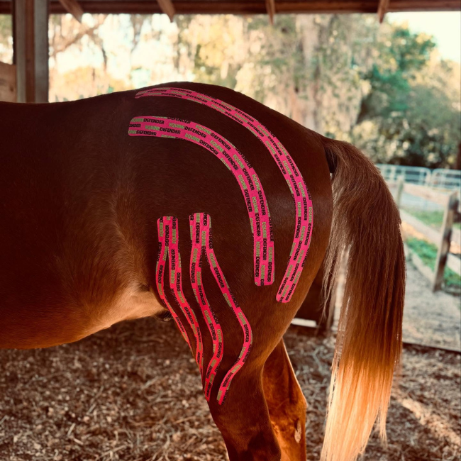 EQUINE|DEFENDER™ K Tape