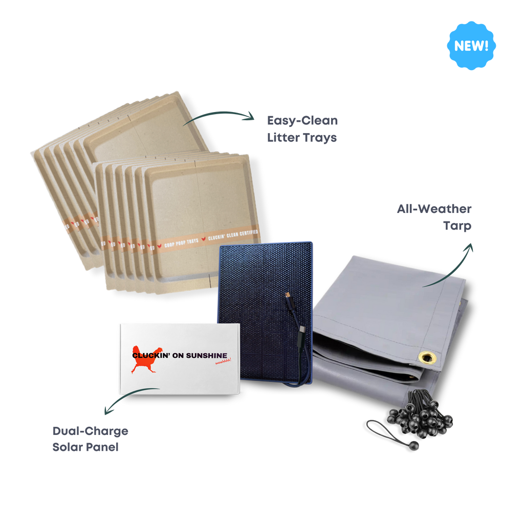 Power + Protect Bundle