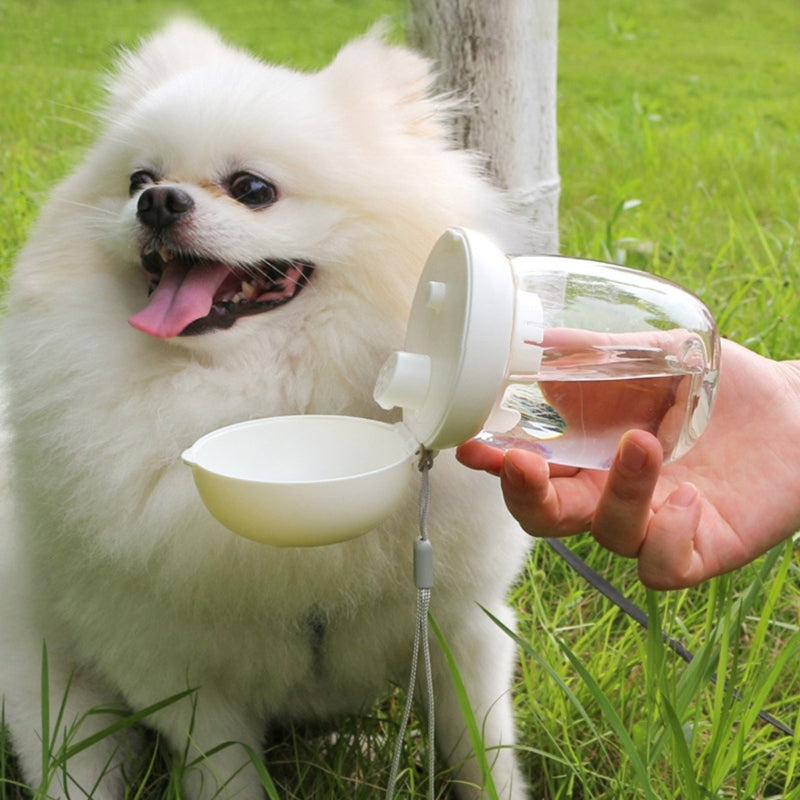 Portable Dog Water Bottle & Bowl