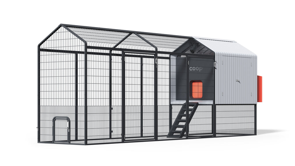 The Smart Coop + 2X Extended Run (+ Free Chicks! 🐣 + Solar! ☀️)