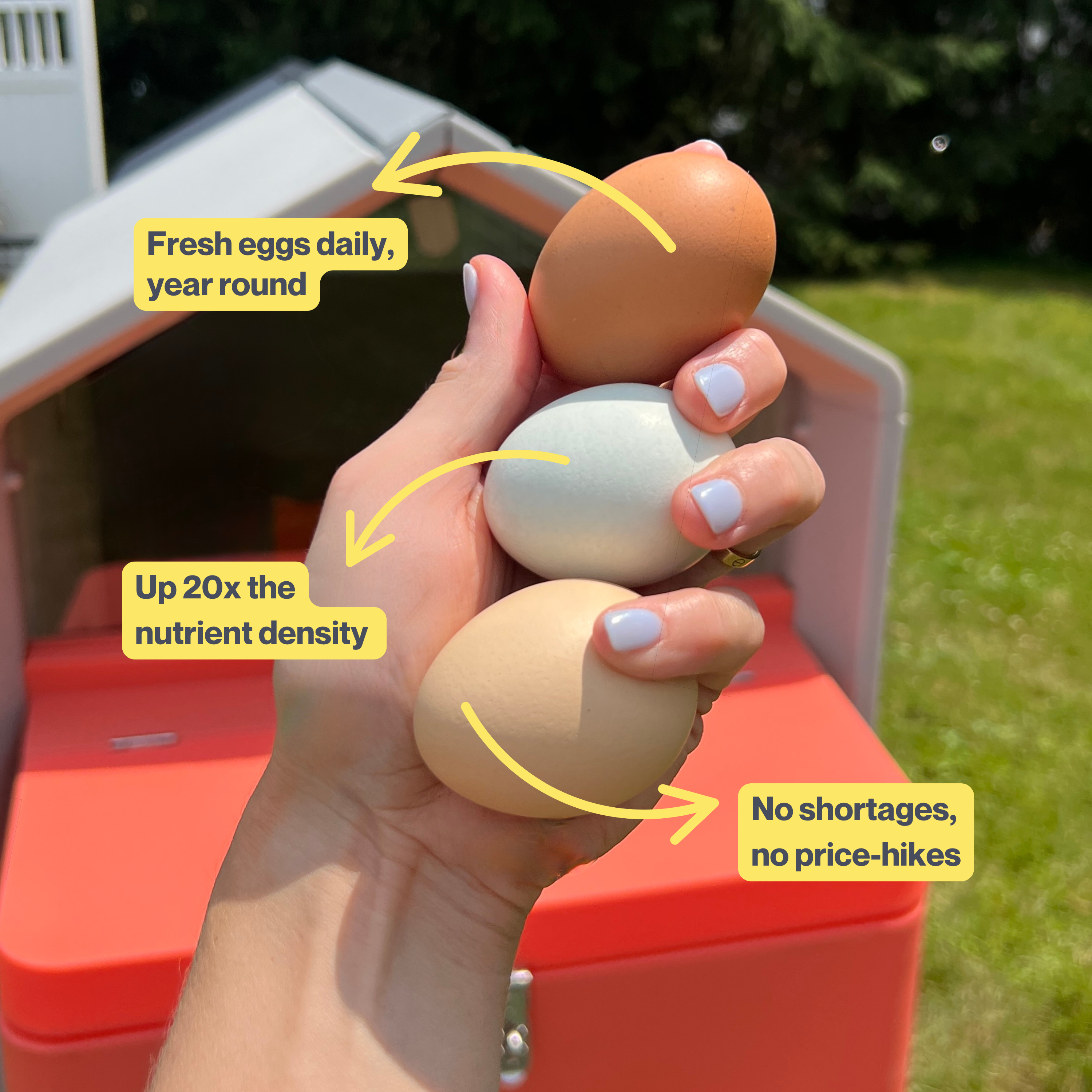 The Smart Coop Unlimited+ (+ Free Chicks! 🐣)